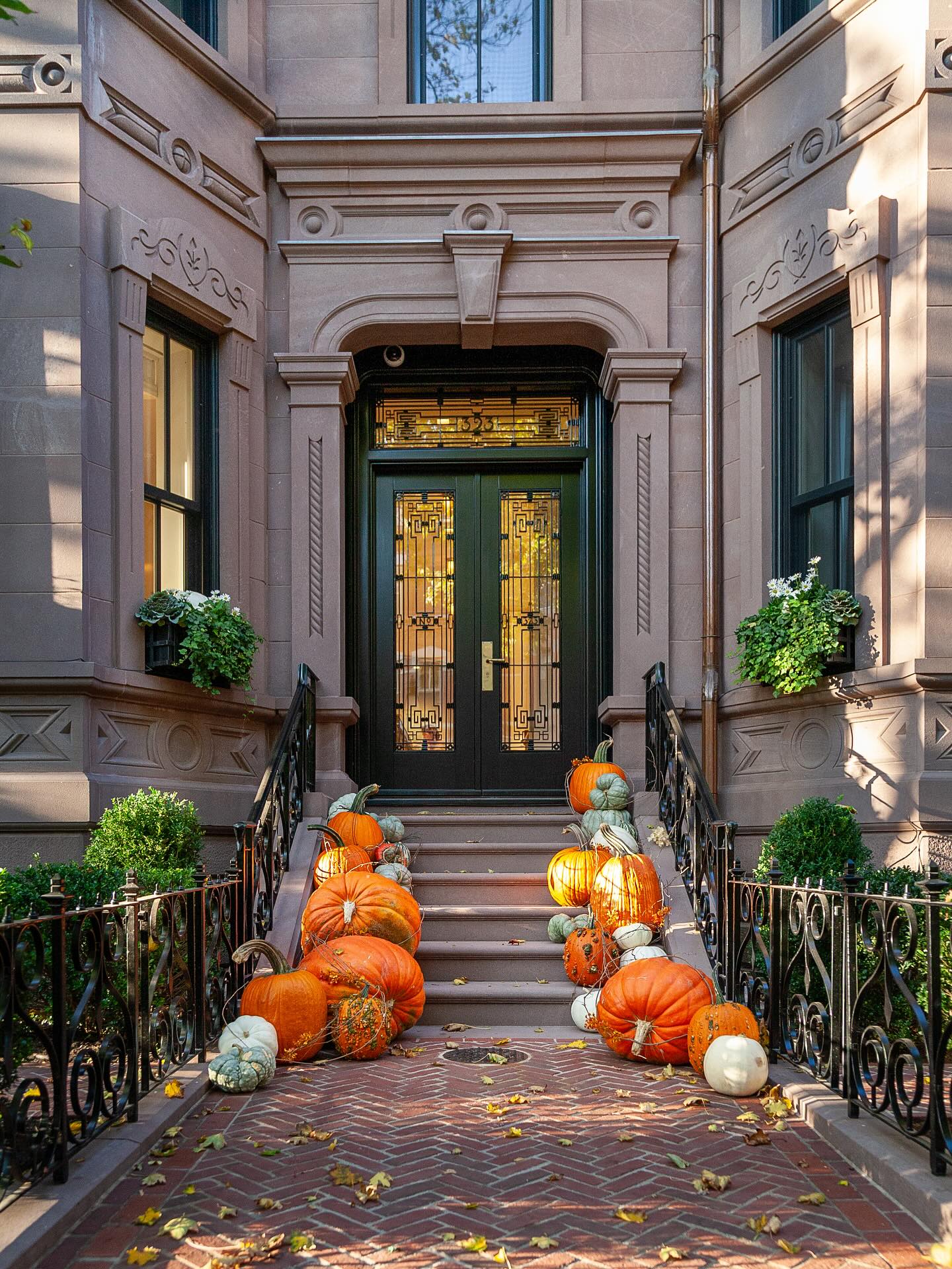A handful of favorite fall snapshots from over the years 🧡 Love this time of year!
.
.
.
.
.
#citygarden #garden #gardendesign #growsomething #gardenlove #boston #backbay #containergarden #gardenstyle #instagarden #landscaping #outdoorliving #outdoordecor #outdoordesign #gardenlife #curbappeal #windowbox #home #bhg #bhghome #bostonhome #rslove #plantlove #igboston #theprettycities #mytinyatlas #fallplantings #falldecor #fallingforfall