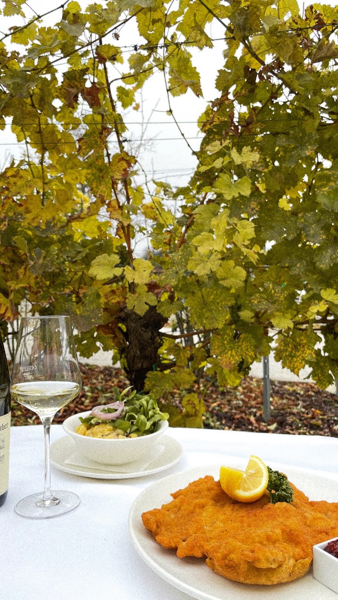 So kauft ihr die richtigen Maroni! 🌰✨
Andi verrät, worauf’s beim Maroni-Kauf wirklich ankommt - zwei einfache Tipps für den perfekten Herbstgenuss. 🍁
#SchlossSchönbrunn #kochen #Restaurant #RestaurantWien #Wien #WienerKüche #AndiWojta