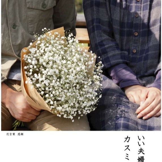 JAくまもと経済連さんより カスミソウの花言葉は「感謝」いい夫婦の日に相応しいお花です。