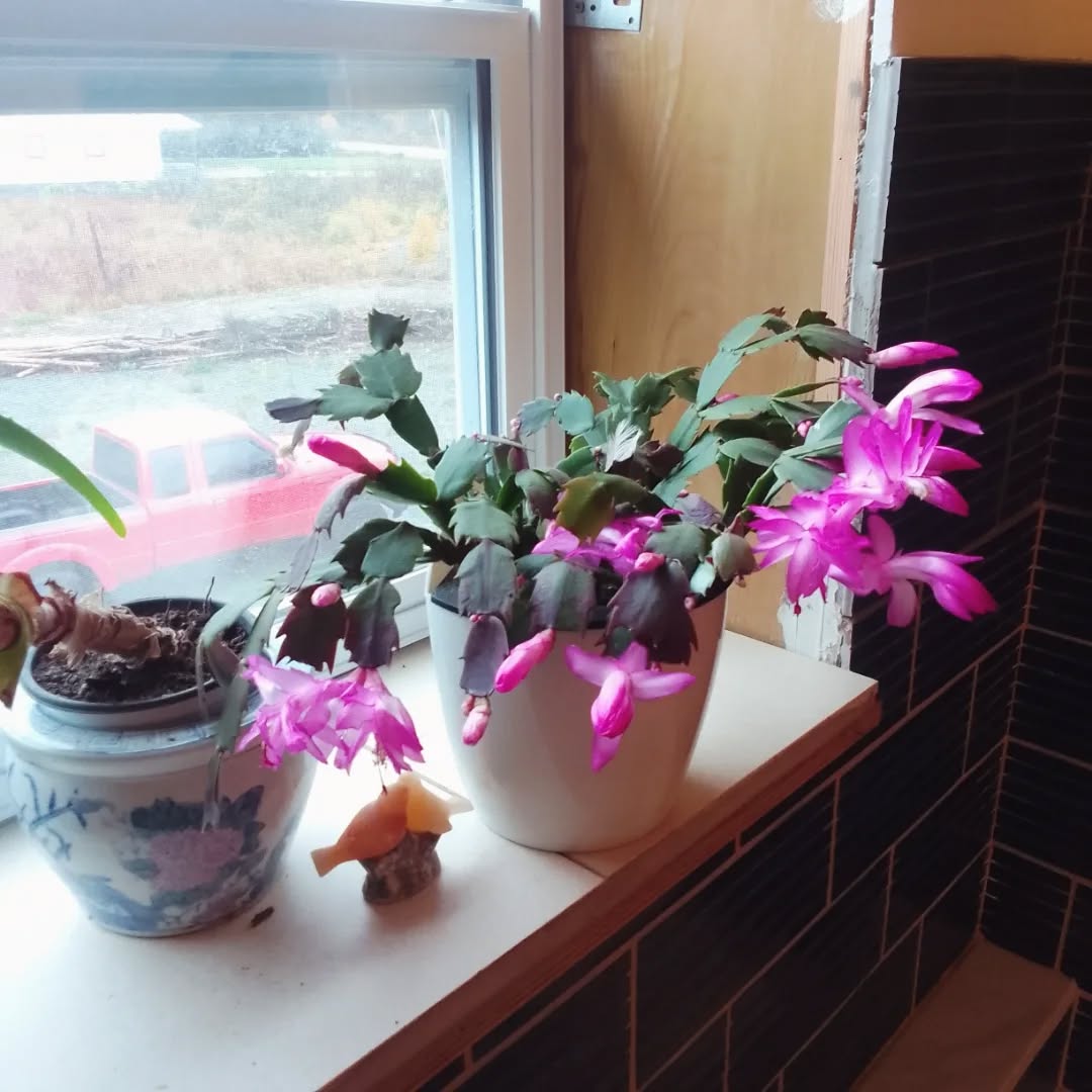 This weekend - within, without, and all around. 🩷💙🫶