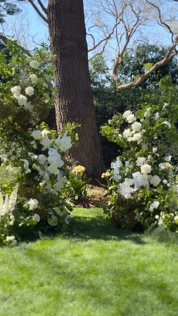Whispers of white, layers of green, and moments of quiet beauty 🤍
An elegant day for the sweetest couple pure, effortless, and full of love
@gabbinbar
#gabbinbar #gabbinbarhomestead #weddingflorist #floraldesign #queenslandwedding #qldwedding #freshflowers #weddinginspo
