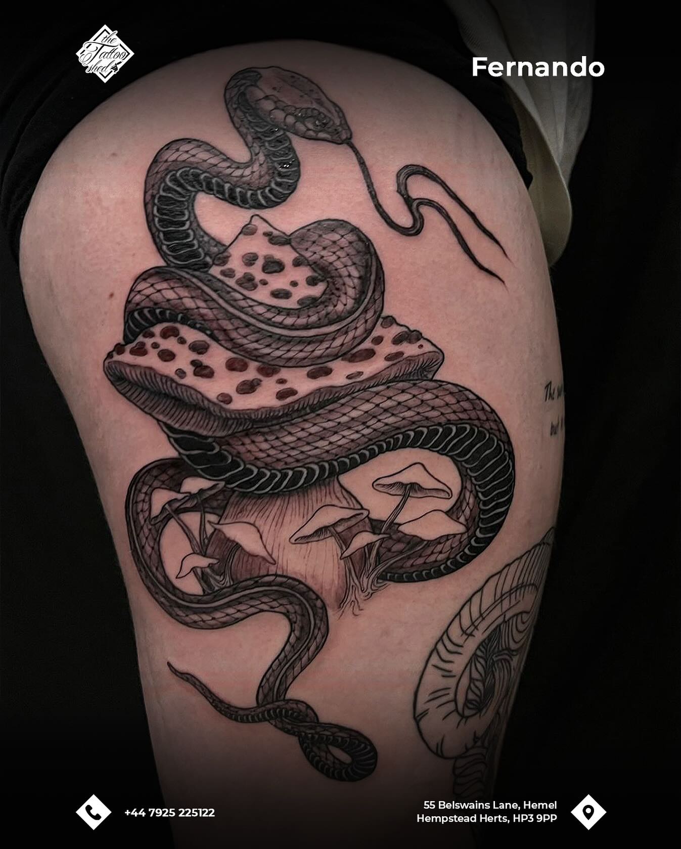 by Fernando (@fernando_tattoolondon)
📞 Contact us to book in today 07925225122
📍 55 Belswains Lane, Hemel Hempstead, Hertfordshire, HP3 9PP
#TattooShed #TattooParlour #tattoosofinstagram #Hertfordshire #HemelHempstead #tattoo #tattoolifestyle #tattoos