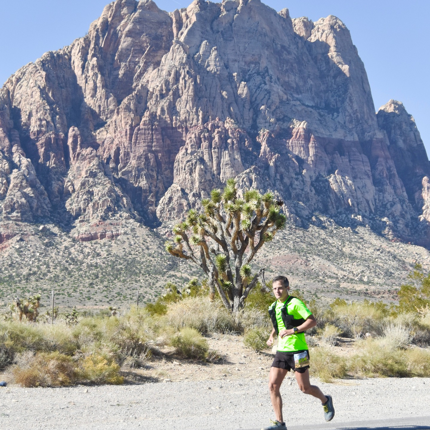 We're just a couple weeks out, folks! If you plan on running, please sign up soon. If you're not running, please consider volunteering. We need your support! If you've signed up for either so far, we look forward to seeing you soon!