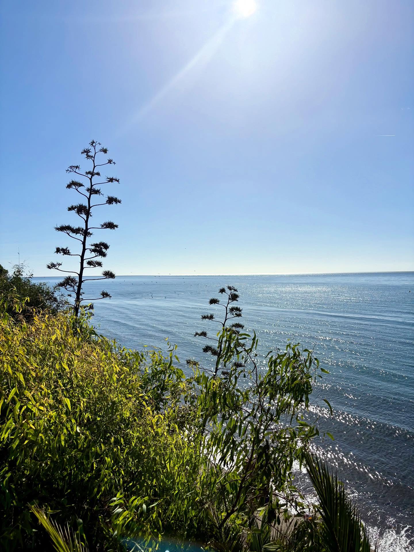 ✨ Estepona, ma belle!
Three years ago, when we arrived on the Costa del Sol, Estepona immediately captured our hearts. And today, every walk along the Senda Litoral reminds us why🫶🏼
This town has managed to preserve its authentic Andalusian charm while offering an exceptional quality of life. From golden sandy beaches to the flower-filled streets of the old town, from the coastal promenade stretching for kilometers to the beachfront restaurants… Estepona embodies that Mediterranean lifestyle our clients are looking for.
Less flashy than Marbella, more authentic, but just as premium ✨ Dreaming of mornings like these?
Let’s talk! We have some gems to show you in this little piece of paradise ☀️
#wayoflife #estepona #realestate #signatureproperties #enjoylife
