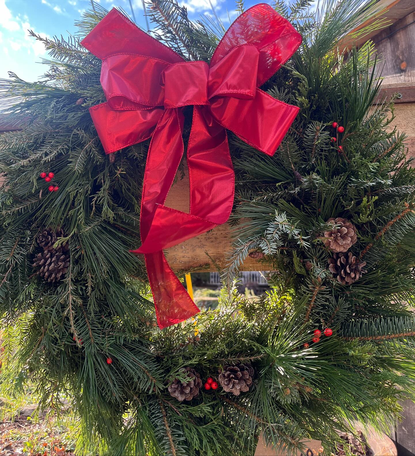I can’t believe it but, the holiday season is right around the corner!
For years I have hand made our wreaths. It’s one of the many things I take pride in. Sculpting the bases with our own grapevines, sourcing out local fresh boughs for the lush greenery, and using foraged pinecones, berries, grasses, and more to design a beautiful array of wreaths.
On November 22nd I’ll be hosting my first wreath workshop! While you enjoy some hot cocoa and cookies I’ll walk you through the steps to create your own 12” wreath. I’ll have everything you’ll need to design your own unique and beautiful wreath that you’ll be able to show off for the whole holiday season!
WHEN: Saturday November 22nd from 2-3:30 pm
WHERE: at the farm 91 Back River Rd Bedford NH
HOW: $45 per person. You can reserve your spot online on our website or feel free to reach out if you prefer to pay cash or Venmo
https://www.arcadian-acres.com/product-page/wreath-workshop