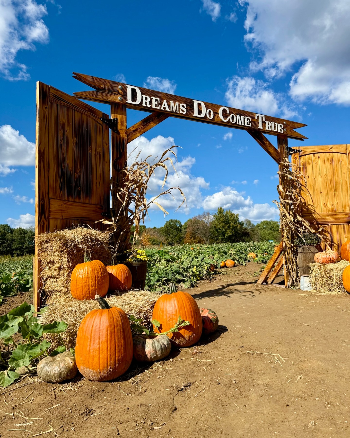 The final weekend of our fall season kicks off tomorrow! Come out and enjoy our Halloween Carnival on Saturday & all day fun Sunday. 🎃🎟️🎶🍔