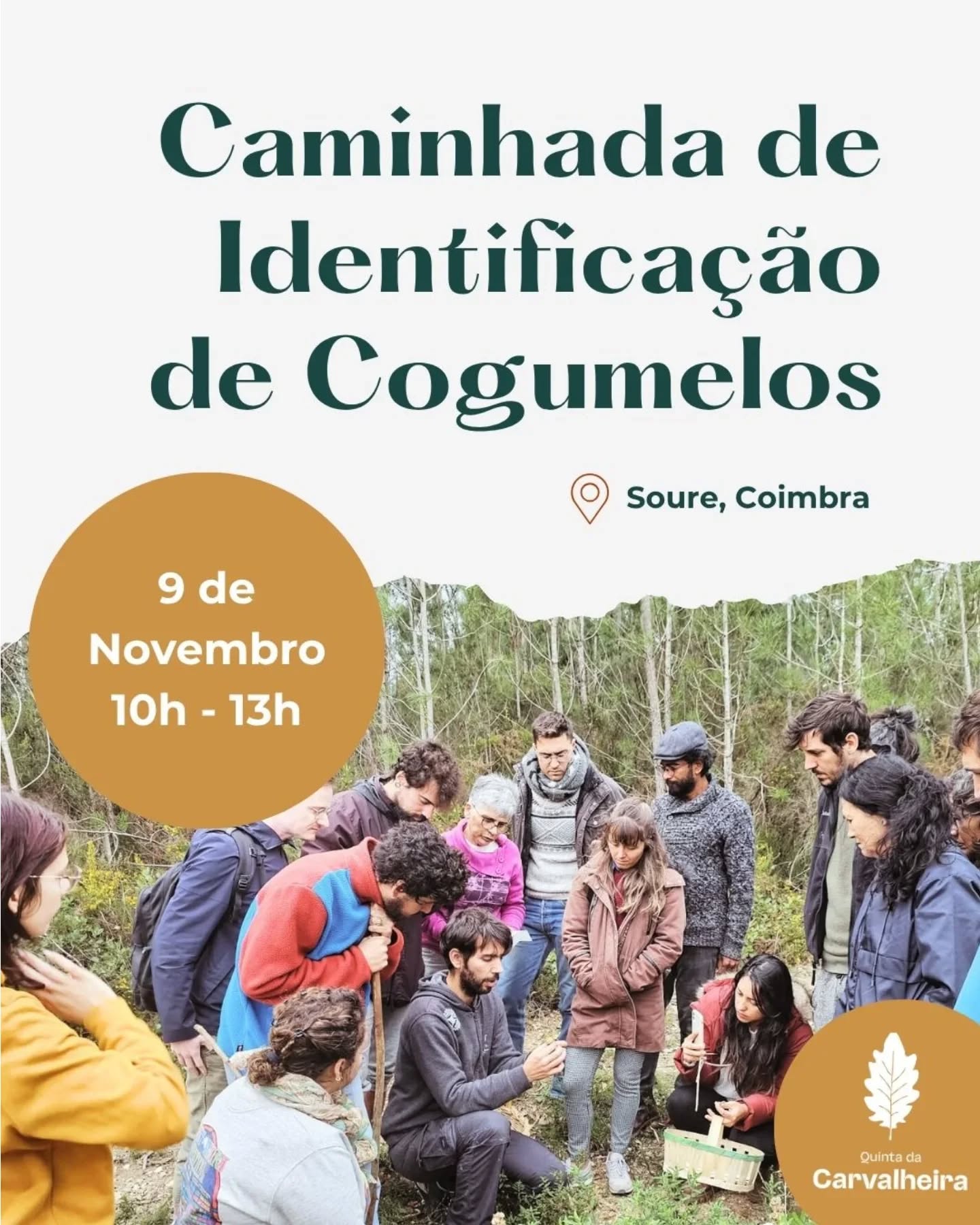 🍄 Caminhada de Identificação de Cogumelos
com o André Ferreira da @sunfungi_mushrooms
Vem descobrir o incrível mundo dos cogumelos numa manhã diferente, em contacto com a natureza!
Nesta caminhada, vais aprender a reconhecer várias espécies, saber quais são comestíveis e perceber o papel essencial que os cogumelos têm no ecossistema.
👣 9 de novembro
🕙 10h00 – 13h00
📍 Quinta da Cavalheira, Soure
💶 15e por participante
👨👩👧👦 Atividade acessível a famílias
Traz curiosidade, calçado confortável e boa disposição!
As vagas são limitadas. Inscreve-te já!
🔗 Link na bio
#CaminhadaNaNatureza #Cogumelos #IdentificaçãoDeCogumelos #FamíliasNaNatureza #AtividadesAoArLivre #Outono2025 #NaturezaEmFamília