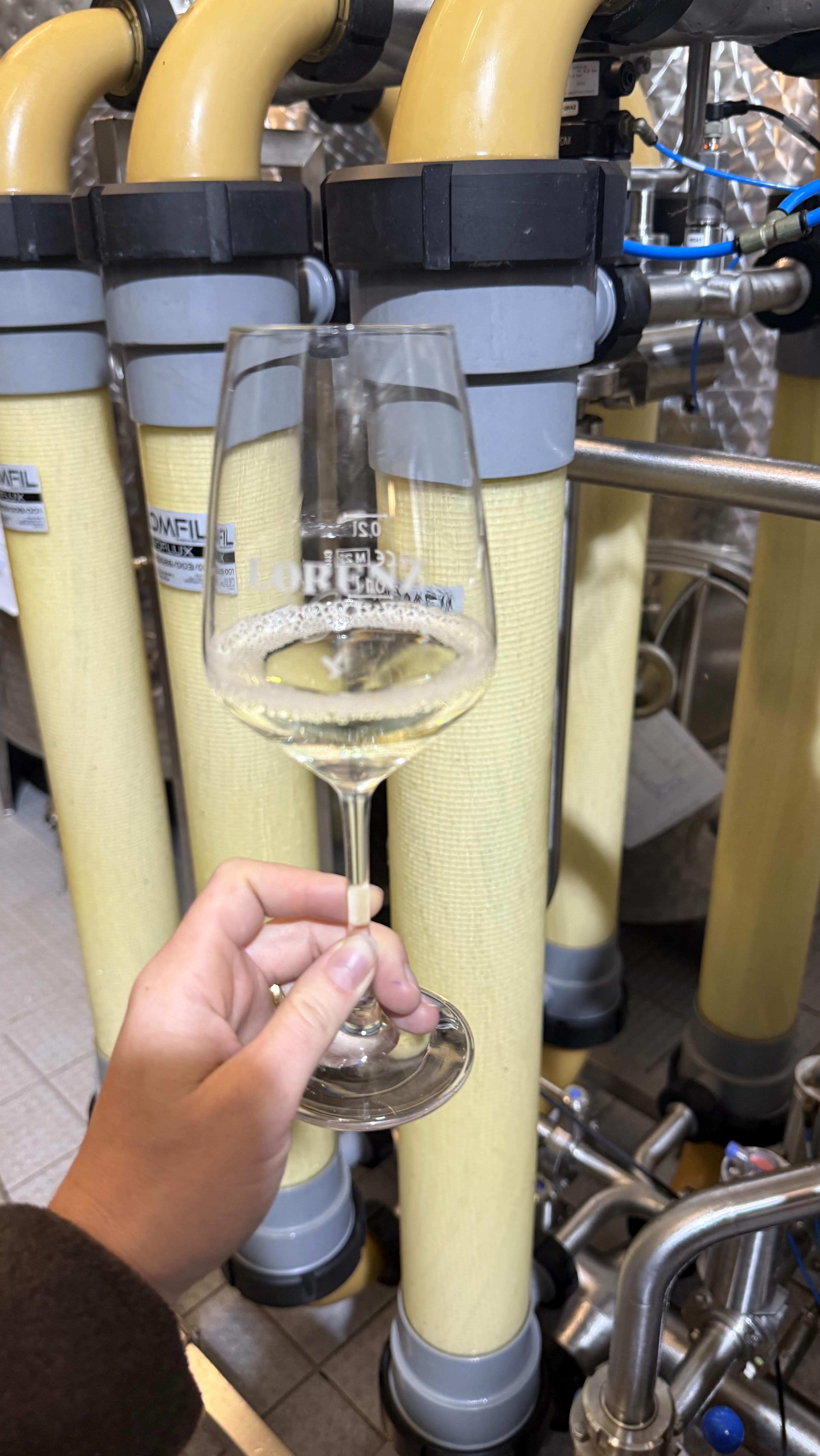 FILTRATION
@ginschter & @tomfendel filtrieren unsere Süßweine! ✨
Damit sie ihre Gärung beenden und ihre feine Restsüße bewahren – für genau den Geschmack, den ihr liebt.
Freut euch auf aromatische, ausgewogene Weine voller Charakter und Genuss. 🍷🧡
#lorenzundsoehne #kellerliebe #wein #nahewein #weinlandnahe #weinlese #jahrgang2025
#Weinliebe #Süßwein #Weinmoment #Weinfreude #Winzerleben