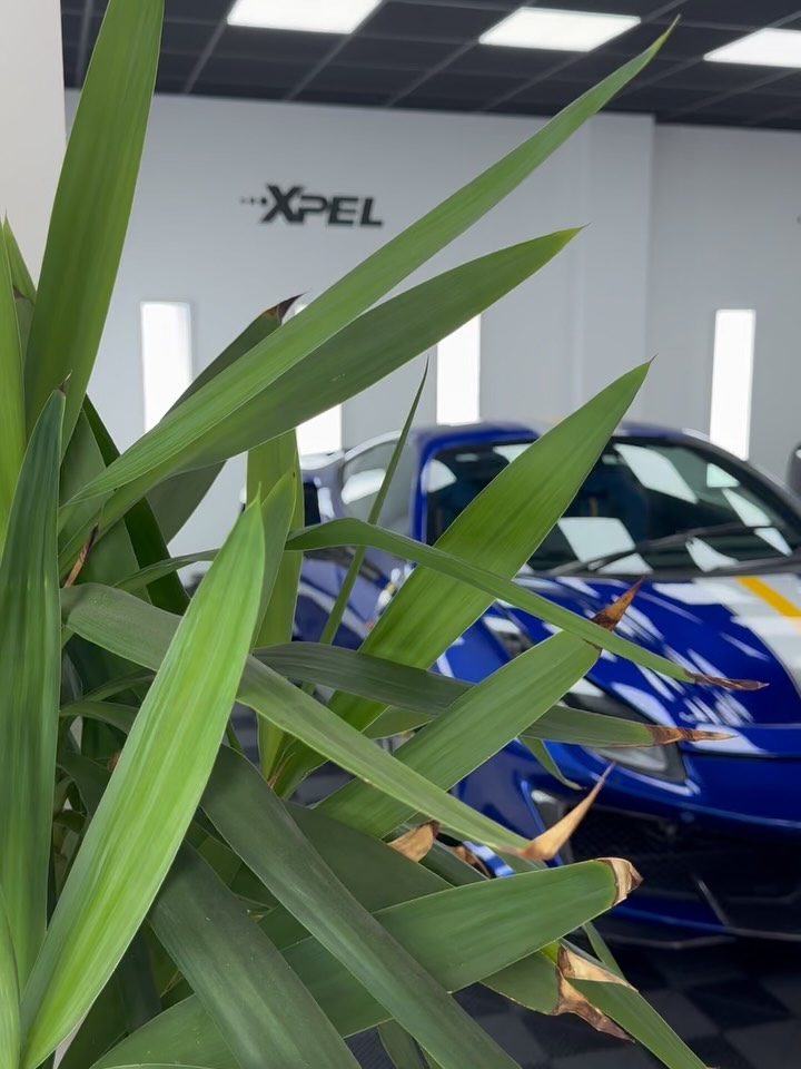 ๐Ferrari 488 PISTA๐
.
We had the pleasure of working on this absolutely jaw-dropping PISTA which was in with us for full interior PPF covering all the carbon fibre including the full carbon door cards ๐๐ป
.
We also replaced the existing PPF on the front bumper & covered all the exterior carbon fibre ๐ค
.
Looking to have PPF installed on your vehicle? Look no further ๐ซก
.
Our state of the art facility is both insured and secured for peace of mind when leaving your prized possessions in our care โ
.
#detailinghq #detailing #ferrari #488 #pista #ppf #dublin #ireland