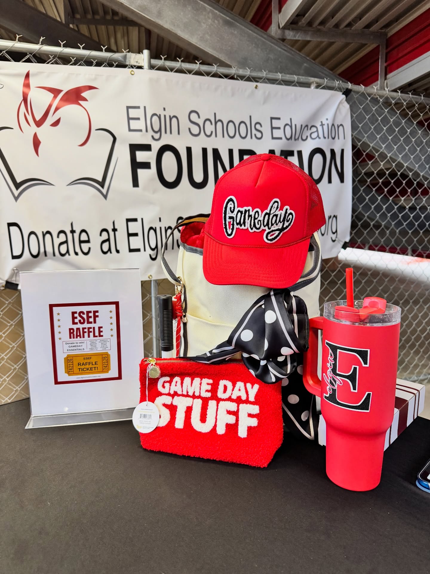 Come see us at Elgin Homecoming tonight!!! If you sign up to become an ESEF Parliament Member you will be entered to win this Gameday Tote filled with goodies! (Local restaurant gift cards and other game day essentials) You do not have to be present to win!