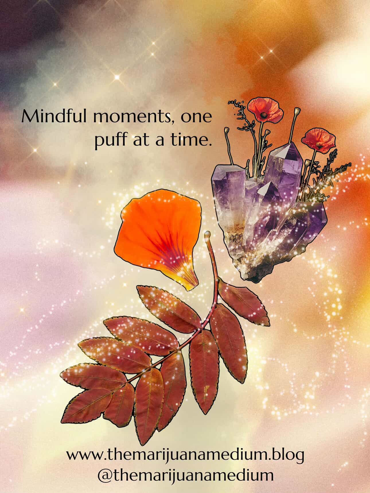 SESSIONS💫
✨ Now offering Cannabis & product knowledge sessions!
✨This is for my people who get overwhelmed at the dispensary and/or just want to learn more about different products, strains, and brands.
✨With 2 years of bud-tending experience & 7 total in the industry, I am extremely passionate about making sure people have access to proper cannabis & product knowledge.
✨In my experience as a bud-tender, there were people coming in all the time who really had no idea what they were looking for and sometimes would feel rushed in their experience. Also, there were many times people almost felt uncomfortable having to express physical & emotional ailments in front of a bunch of people in a dispensary. In other instances, sometimes people wanted to begin their cannabis journey, but just didn’t know where to start…. No matter who you are, or what you are going through, or where you may be on your cannabis journey, I’m here for you!
Email to book a session: Themarijuanamedium@gmail.com
✨💖💫
ART BY: The One & Only @monetnyree @monetnyree.graphics @monetnyree.photo 🙏🏼💖
#sessions #budtender #cannagirl #healing #budtender #budeducator #cannabis #cannabisknowledge #sesh #journey #cannabisjourney #educating #plantmedicine #themarijuanamedium