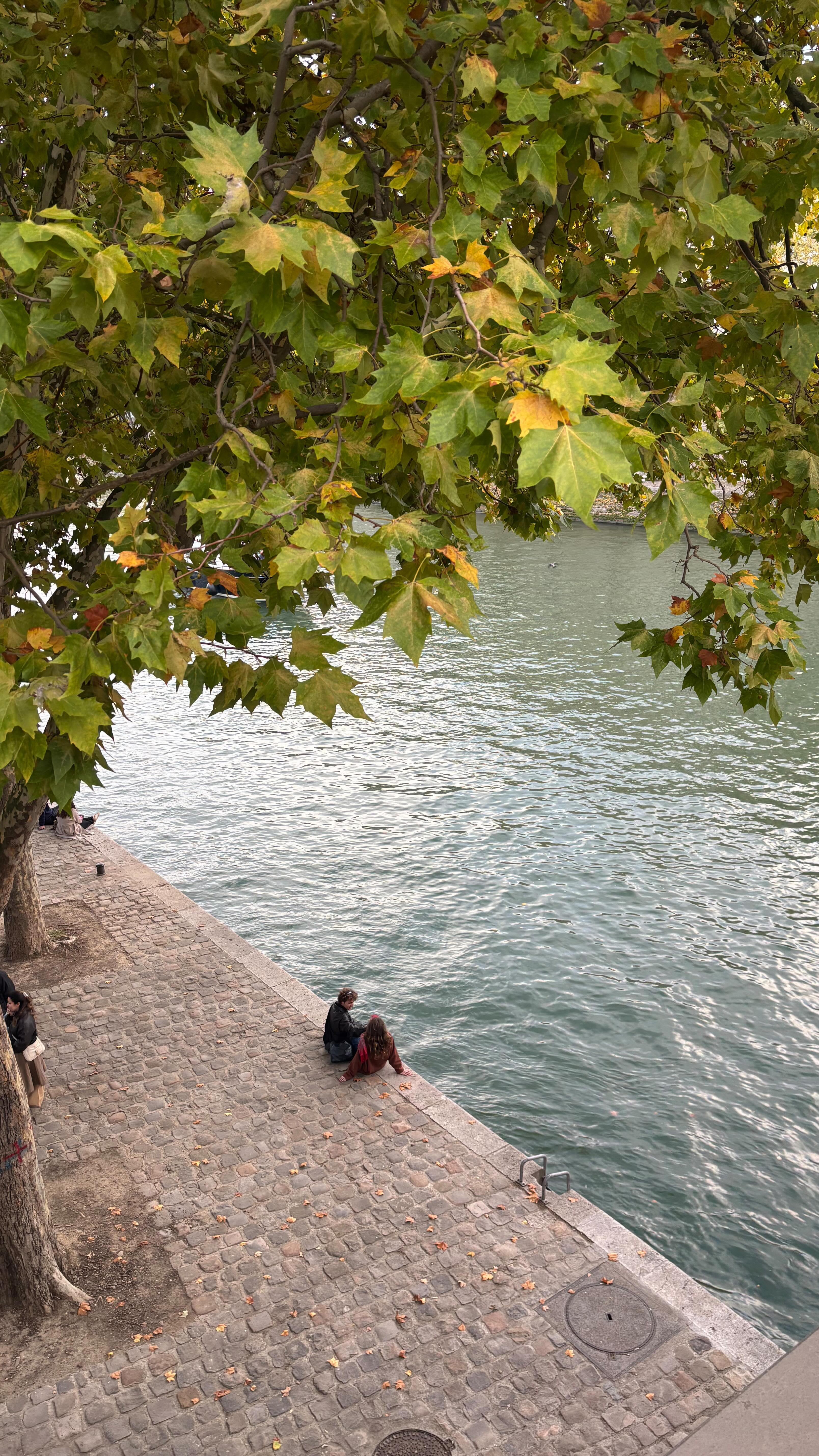 Seine-ding you all the fall vibes 🍂🍁
#paris #seine #visitparis #parisjetaime #paristourguide #laseine #parismaville #parisguide #paristourisme #