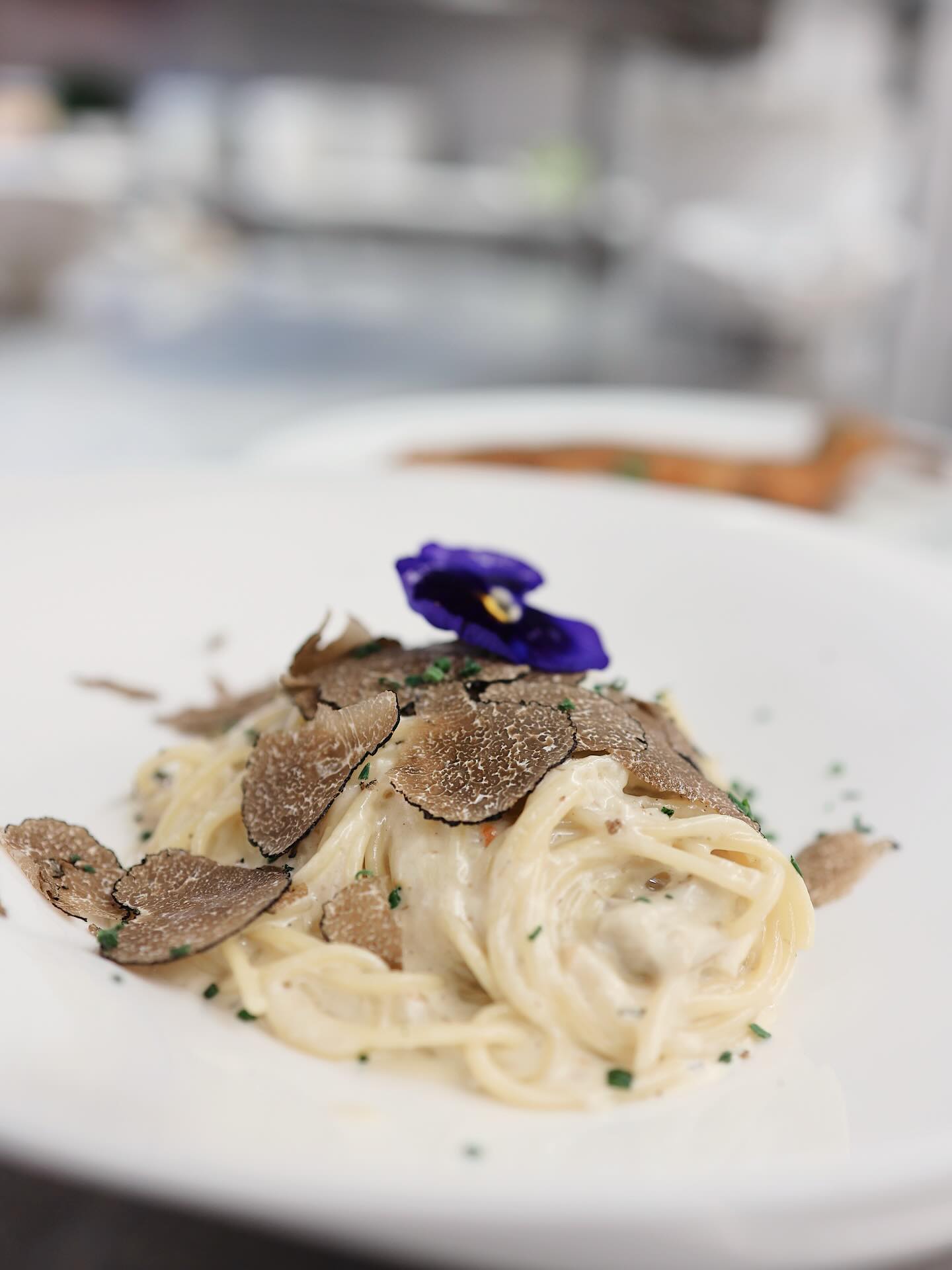 🍝✨ Nicht nur Fisch!
Ja, wir sind bekannt für unseren frischen Fisch – aber habt ihr schon unsere vegetarischen Köstlichkeiten probiert?
Heute im Fokus: Spaghetti mit Steinpilzsoße und frischem italienischen Wintertrüffel 🍄🤍
Cremig, aromatisch und mit großzügig gehobeltem Trüffel – ein Gedicht für alle Pasta-Liebhaber! Die erdigen Aromen von Steinpilzen und Wintertrüffel harmonieren einfach perfekt.
Mitten im Nordschwarzwald verwöhnen wir euch mit italienischer Raffinesse und regionaler Gemütlichkeit.
Kommt vorbei und lasst euch überraschen!
#nordschwarzwald #restaurant #pasta #trüffel #wintertrüffel #steinpilze #vegetarisch #italianfood #foodporn #foodlover #genuss #pastaliebe #trüffelpasta #feinschmecker #schwarzwald #regionalküche
