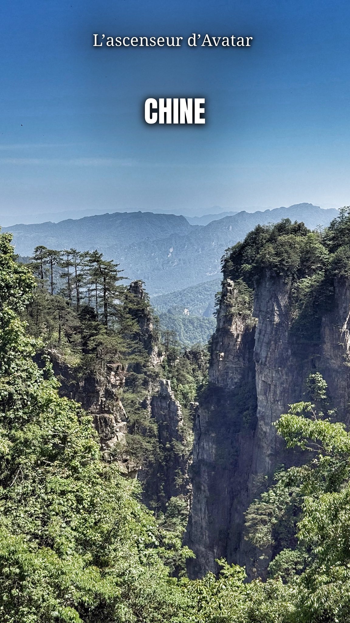 L’un des endroits les plus impressionnants qu’on ait vus en Chine 🇨🇳 🤯
Perché au cœur des montagnes de Zhangjiajie,
📍l’ascenseur Bailong (ou “Hundred Dragons Elevator”) grimpe plus de 326 mètres en moins de 2 minutes… dans une cabine entièrement vitrée accrochée à une falaise 🏔️
La vue ? Totalement surréaliste.
On se croirait dans Avatar, d’ailleurs c’est ici que James Cameron s’est inspiré pour les montagnes flottantes du film 🎬
Clairement, c’est une expérience à faire une fois dans sa vie, entre vertige, émerveillement et nature brute 🌫️
💡Astuce : placez-vous à l’avant de la cabine pour avoir la meilleure vue 👀
#Chine #Zhangjiajie #BailongElevator #Pretadecoller #bonplanvoyage #voyage #WorldWonder #AvatarMountains