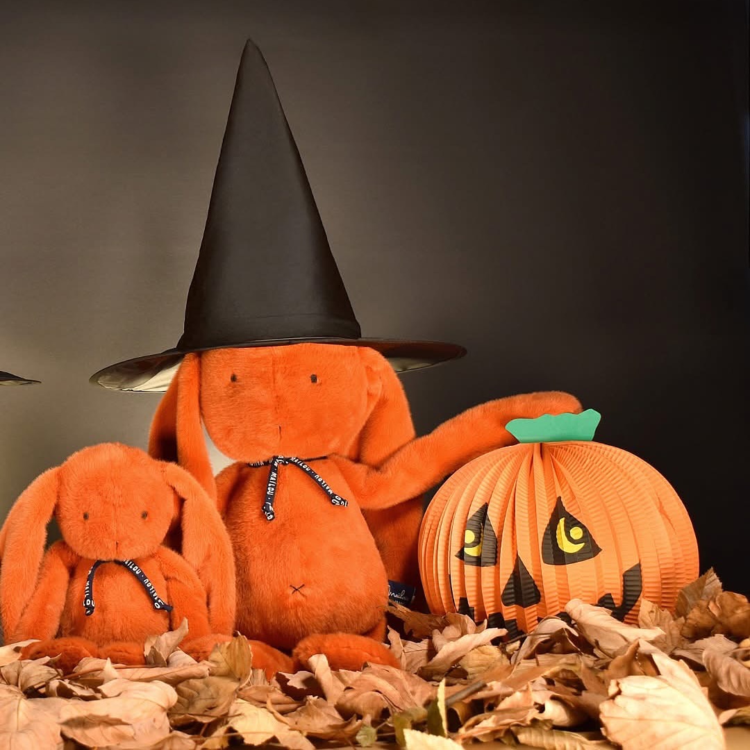 Pour Halloween profitez de nos lapins oranges made in France de la gamme MAÏLOU ! 🐰🎃
Commandez-le sur notre site : lecomptoirdesauthentics.com
#halloweeen #lapin #peluche #cadeau