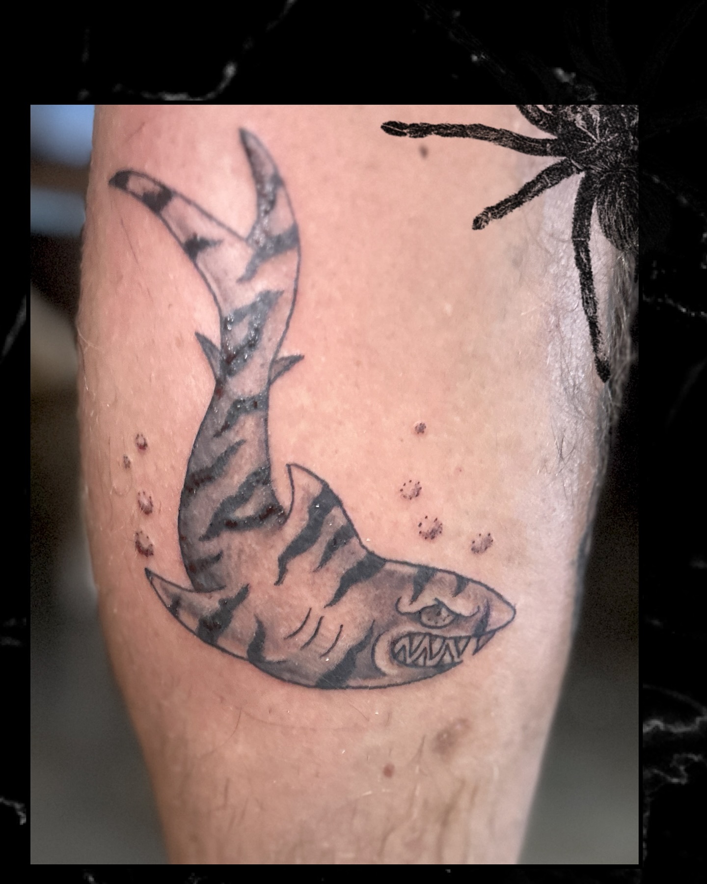 One day I’ll be a post a day person. Here’s my favorites these past several work days 🔮✨
FINE OR BOLD BLACK AND GREY CUSTOMS
Made at @electricavetattoo.atx 🖤
Submit a form through the link in my bio to book!
#atx#atxtattoo#finelinetattoo#tattooflash#electricavetattoo#tigersharktattoo#floraltattoos#atxtattooer