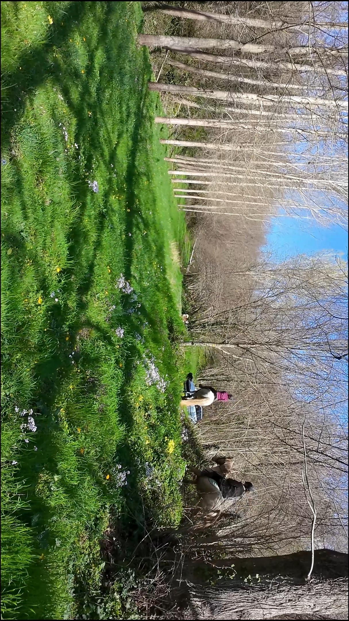 Mettre en lumière le travail passionné de Maëva, monitrice indépendante, qui partage son savoir-faire à travers des stages variés et enrichissants 🐴
Dans cette vidéo, on découvre son univers !
Tu es pro et tu veux, toi aussi, mettre en avant ton activité avec des images qui te ressemblent ?
👉 Contacte-moi pour créer ensemble une vidéo authentique et impactante.
#photographeequestre #videographeequestre #communicationequestre #monitriceindependante #stageequestre #mondeequine #equitationpassion #reportageequestre #fieredemonmetier #entrepreneurequine