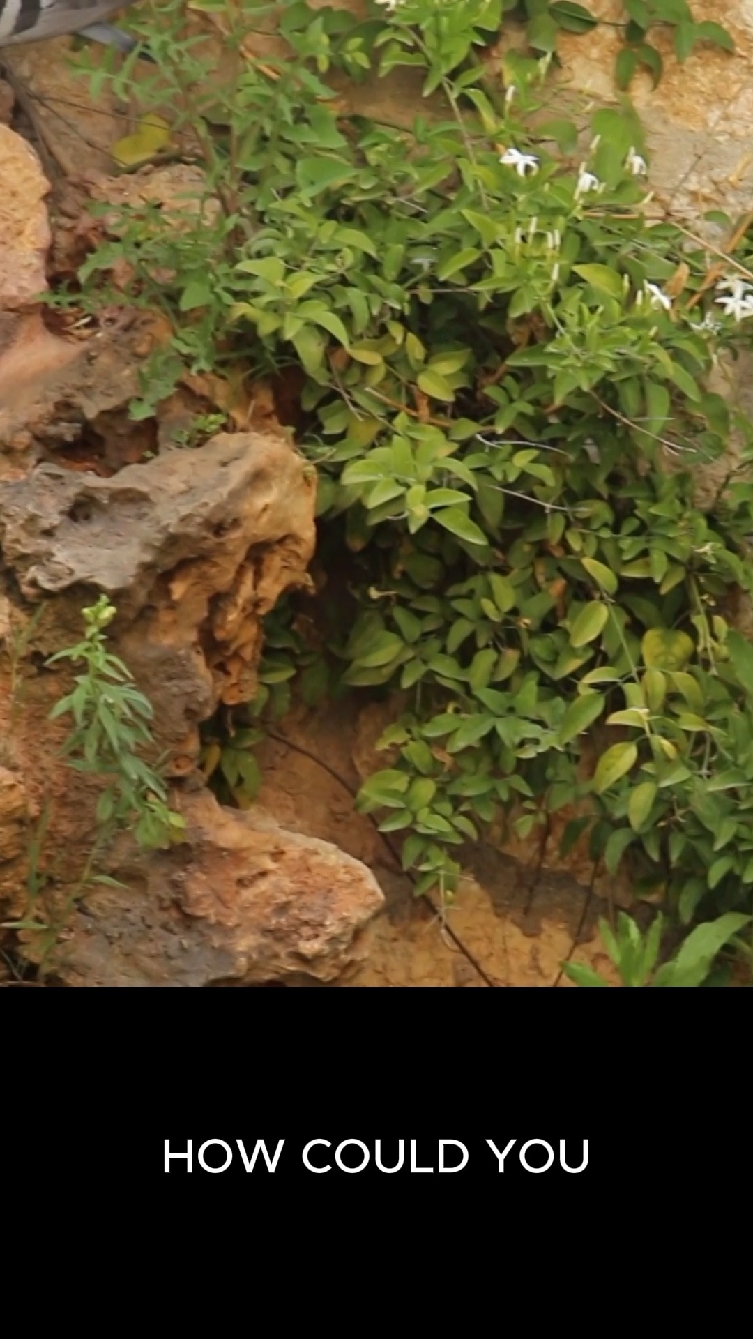Mikveh attendants play a vital role in the mikveh experience and, as such, carry an important responsibility. Treating every woman with kindness, respect, and patience is central to the balanit’s role. At The Eden Center, we emphasize that when someone faces a personal health challenge such as breast cancer, giving her gentle care and respecting her decisions can make a profound difference in how she feels going home, and allows the mikveh to be a place of healing and compassion.
#BreastCancer #BreastCancerSurvivor #BreastCancerAwareness #Mastectomy #Mikveh #Judaism