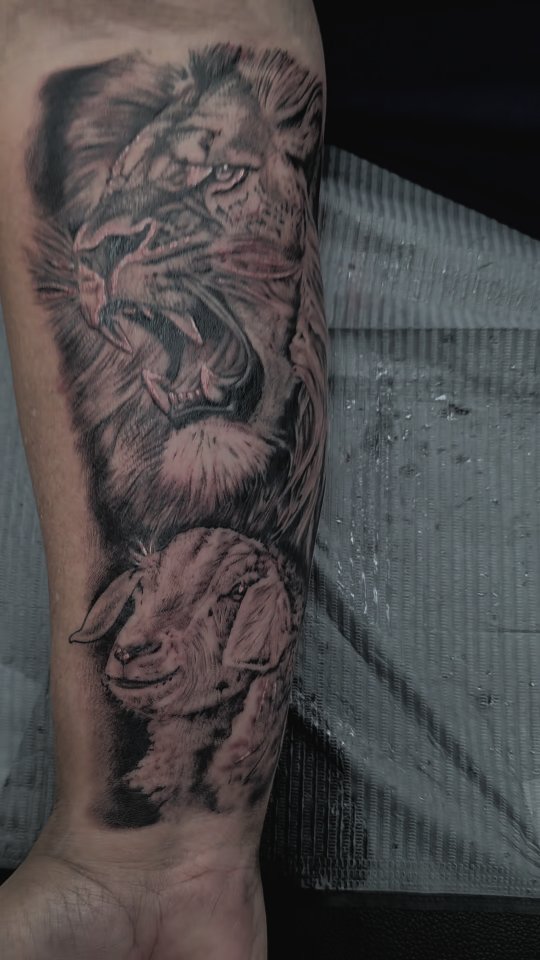 BRING IT! BRING IT ON!
.
.
.
.
#mttattoos s #austintattoos #tattoo #lion #lamb #god #blackandwhite #inklife #lionking