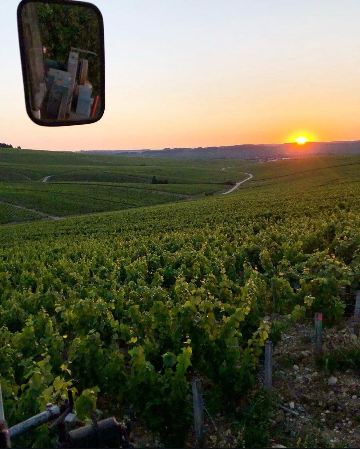 Il Domaine Laura et Antoine Robin, è una giovane e dinamica realtà familiare che ha saputo imporsi in poco tempo grazie a uno stile pulito, preciso e
profondamente legato al territorio. La filosofia del Domaine si fonda sull’esaltazione senza fronzoli del
meraviglioso terroir di Chablis caratterizzato de marne calcaree ricche di fossili marini, attraverso
l’esclusivo utilizzo di acciaio inox per la vinificazione.
Al vertice della produzione si colloca lo Chablis 1er Cru “Vaillons”, proveniente da uno dei Climat più
rinomati dell’AOC. Qui lo Chardonnay raggiunge un livello superiore di complessità aromatica: frutta
a polpa gialla, fiori bianchi, mandorla fresca e un accenno vanigliato e tostato si fondono in un sorso
profondo, cremoso ma sempre attraversato da una vibrante freschezza.
L’ABUSO DI ALCOL È PERICOLOSO PER LA SALUTE, CONSUMARE CON MODERAZIONE.
#vino #vinfrancais #frenchwine #vinoitalia #degustazione #finewine #amoredivino #wineexperience #vinsdefrance #luxurylifestyle