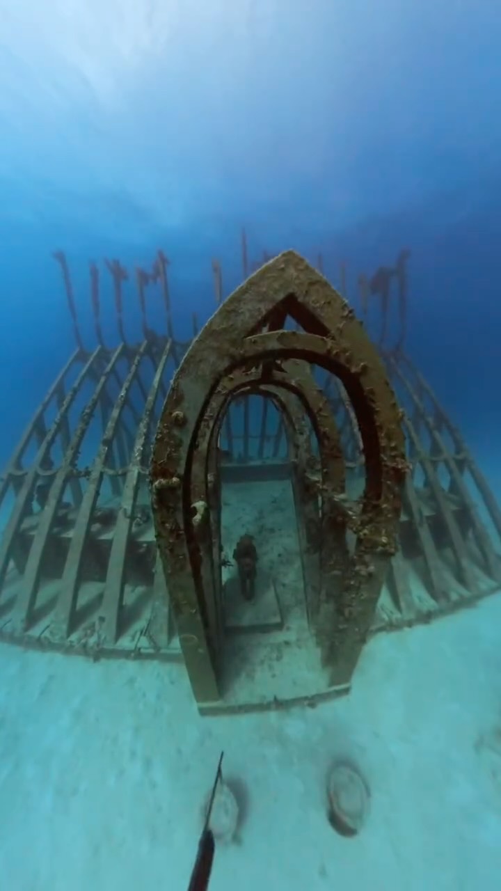 Quick trip past the local supermarket.
It's always awesome diving here at John Brewer Reef, we've sailed here a few times now and every time the conditions have been beautiful!
#sailingaustralia #boatlife #spearfishing