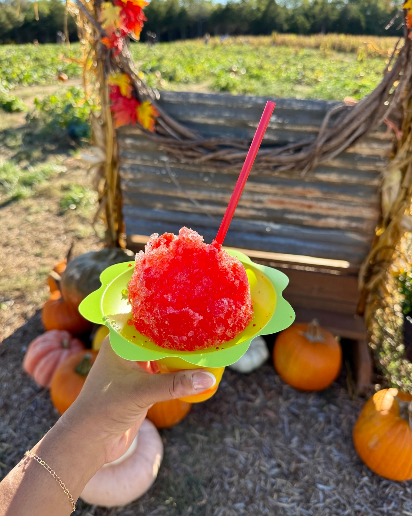 Pictured: where you should be spending your weekend!! We are open today and tomorrow for our final days of the season! 🎃🎶🌟
Don’t forget- our Halloween Carnival is TODAY! Bands, amusement rides, hayrides, flash light maze, late hours til 8pm, speciality desserts & food, glow cotton candy & sticks and MORE!
bloomsdalefunfarm.com