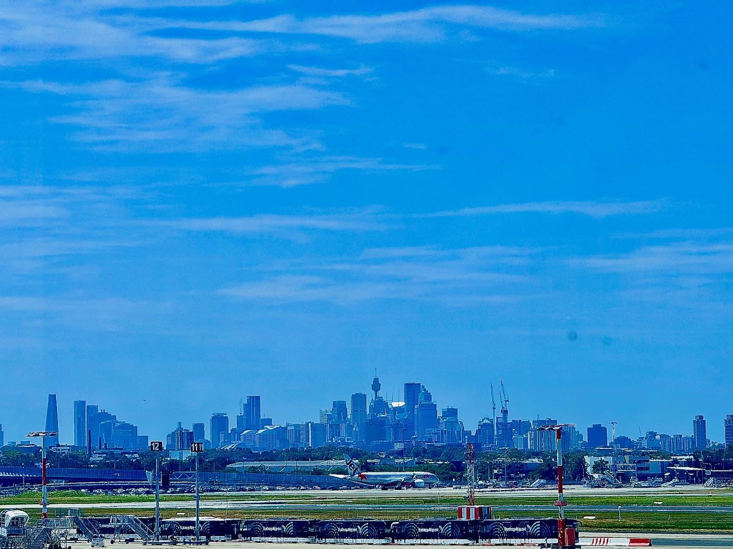 Overseas on my way. Kitchen By Mike , sydney international airport, is the airport spot to eat his canteen style presentation , fresh salads and roasted vegies . Brilliant concept, works at Canberra’s national art gallery cafe , this trip I caught it between menus. But still glad of some real food at the beginning of my odyssey . Qantas ( I was on Qantas last year ). It food has deteriorated over the 40 yrs I’ve travelled on their international flights . This last trip was the abysmal worst . I am speechless, how to describe an offering so bad ? Dried shrivelled with dreadful lack flavour or flavours that should be absent . I think there was a pasta dish just edible with 6 strands of green and glob of cheese mated in tomato . I would not have lasted to the uk without sleep and having eaten @kitchenbymike at the start of my journey . Lunch was Knepp estate cafe . Now thats another story. So worth the wait. Landed into autumn drizzles, fresh chill air. And drive through golden hedgerows. The impact of the climate change hottest summer was full now a display of turning leaves and tree come hedgerows. Entangled in berries. Off the motorway, I wallowed in, neigh drank the autumn hues. Trees having just started to turn.