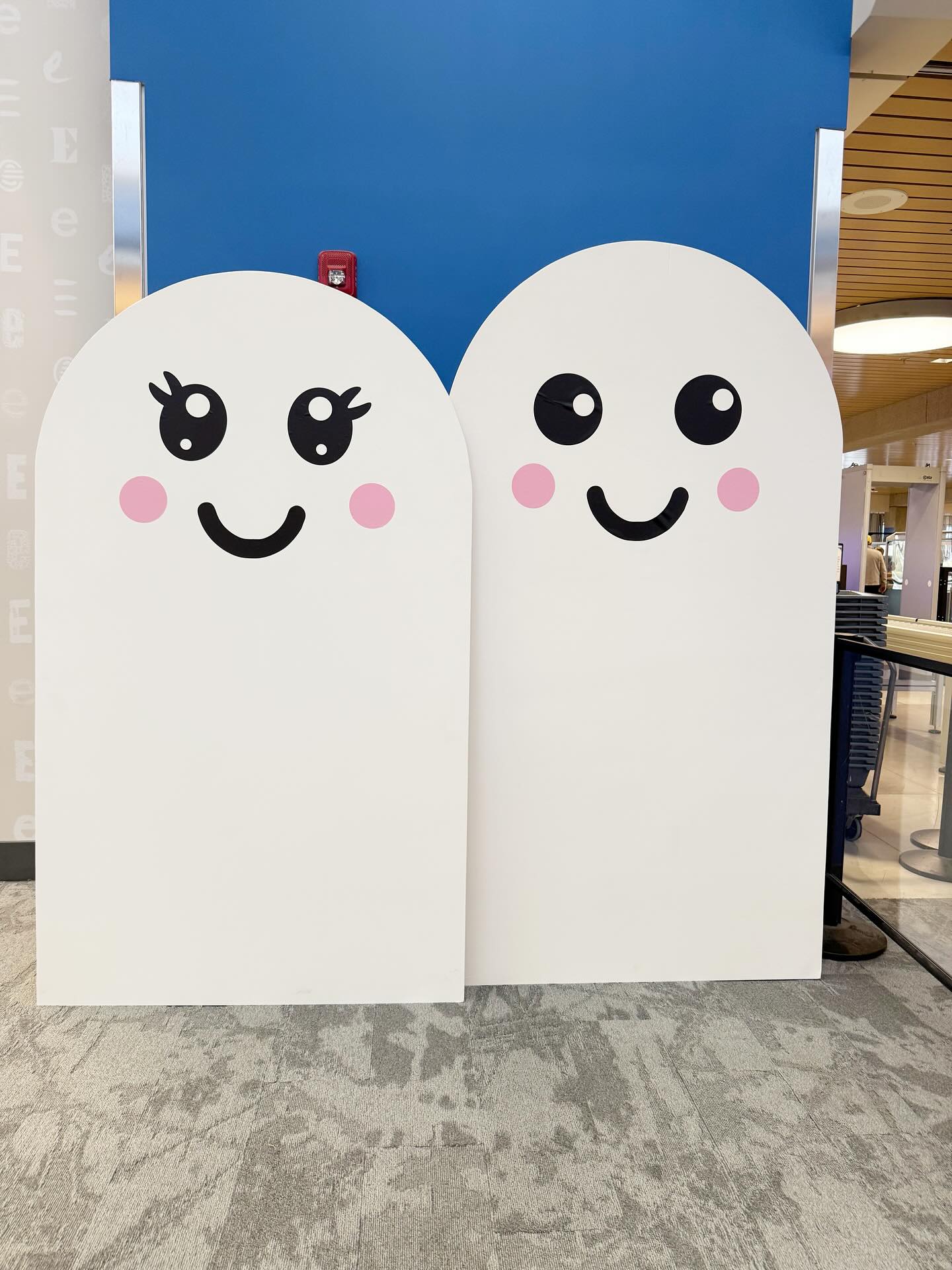 👻✨ Our friendly ghosts are all smiles at @evvairport today!
👻 (1) 6.5ft Chiara Wall
👻 (2) 6ft Chiara Walls
👻 (2) 5.5ft Chiara Walls