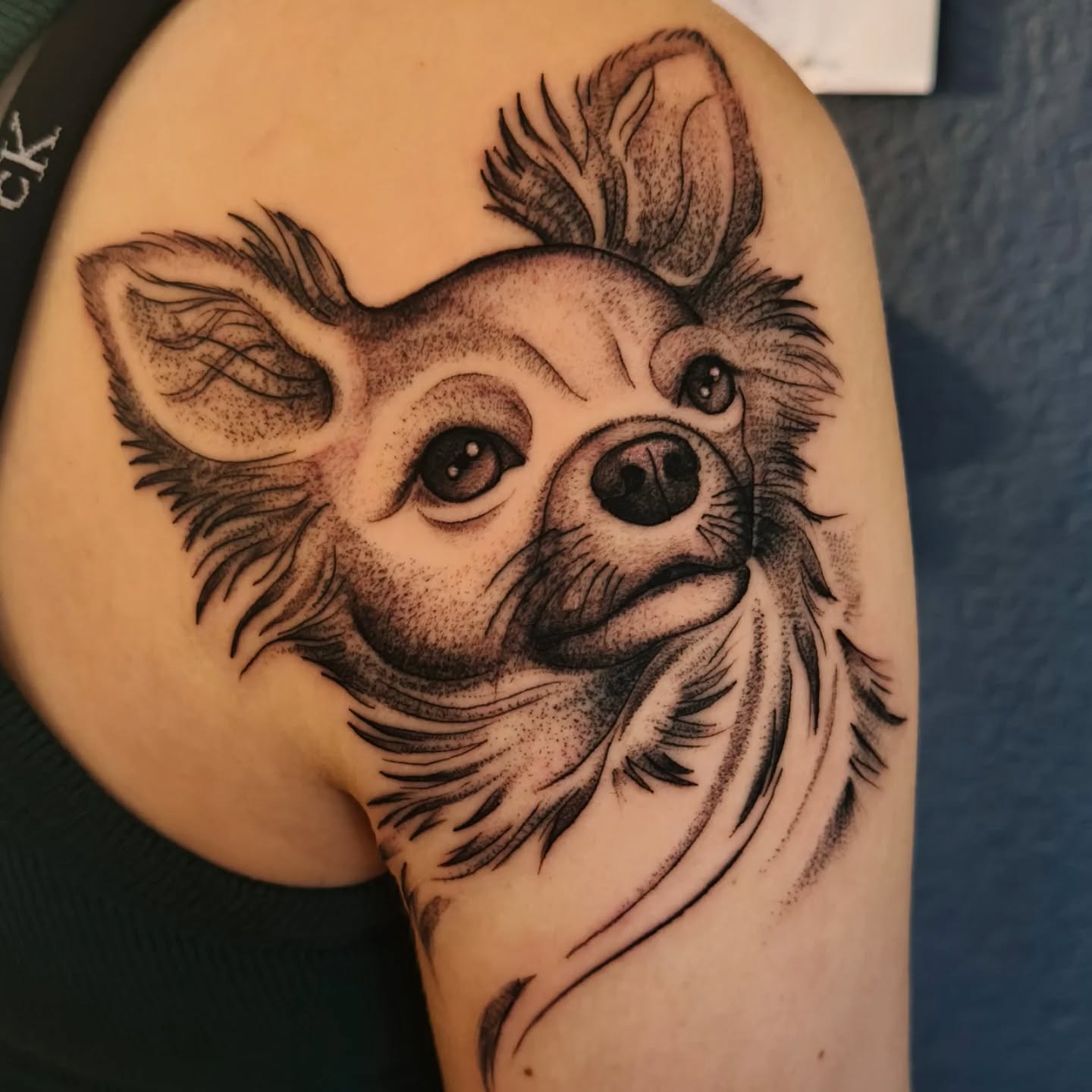 ✨ Seelenschwester ✨
Ein Haustier ist mehr als nur ein "Haustier".
In der Spiritualität sagt man, dass ein Tier, welches in Form eines Haustieres in unser Leben kommt, oft eine Seele ist, die wir schon aus früheren Leben kennen. Diese hat sich entschieden, uns in diesem Leben in Form eines Haustieres als treuer Begleiter zur Seite zu stehen und uns auch wichtige Lektionen zu lehren. Oft sind es Seelen mit welchen wir schon bedingungslose Liebe erfahren haben (manchmal sogar eigene Kinder oder Eltern in einem früheren Leben). Es sind nicht wir, die dieses Tier ausgesucht haben, sondern das Tier, das seinen Weg zu uns gefunden hat ❤️
✨ Encre d'Or ✨
-------------------------------------------------
✨ Âme Sœur ✨
Un animal domestique est bien plus qu'un simple « animal domestique ».
Dans la spiritualité on dit qu'un animal qui entre dans notre vie sous la forme d'un animal de compagnie est une âme que nous connaissons déjà d'une ou plusieurs vies antérieures. Celle-ci a décidé de nous accompagner dans cette vie sous la forme d'un animal domestique, en tant que fidèle compagnon et/ou pour nous apprendre certaines leçons. Il s'agit souvent d'âmes avec lesquelles nous avons déjà connu l'amour inconditionnel (parfois même nos enfants ou parents dans une vie antérieure). Ce n'est pas nous qui avons choisi cet animal, c'est l'animal qui a trouvé son chemin vers nous ❤️
✨ Encre d'Or ✨