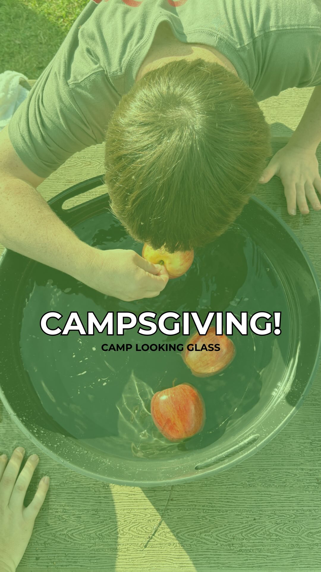 Some moments from our day yesterday! We had an absolute blast!! 🦃✨🥳