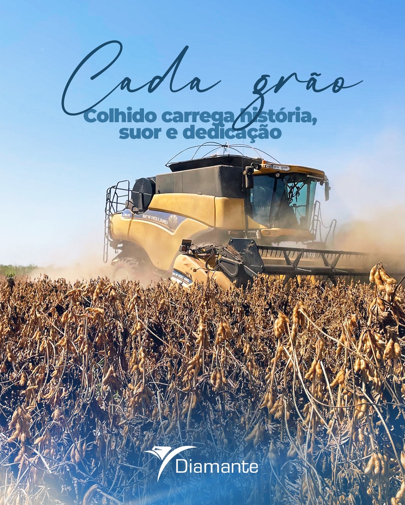 Cada grão que chega ao destino conta a história de quem planta com propósito, cuida com zelo e colhe com orgulho.
Na Diamante, cada safra é fruto de muito trabalho, tecnologia e amor pelo campo. 💛