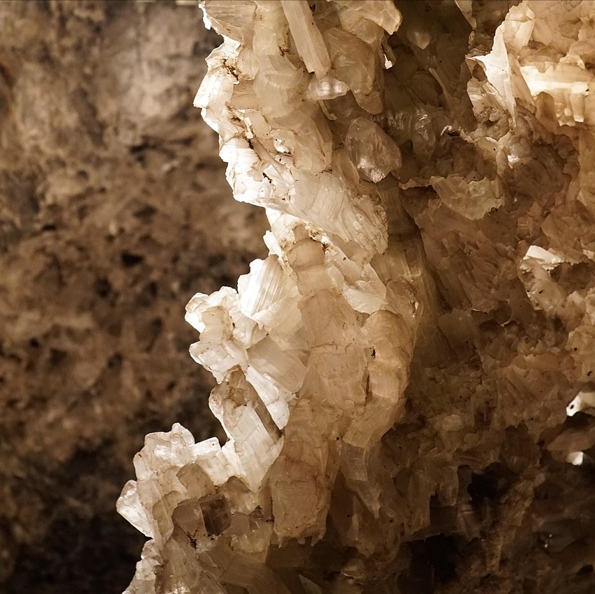 Je viens de passer quatre jours suspendus entre ciel et terre. Apprendre, comprendre, rire, ressentir, voir, grandir. Un lieu douceur, un groupe joie, une énergie du coeur. Je me sens à ma place, remplie et en paix.
Gratitude immense 🤍
@celine_sommer_88
@espaceentrecieletterre
et à celles et ceux qui ont partagé cette aventure 💫