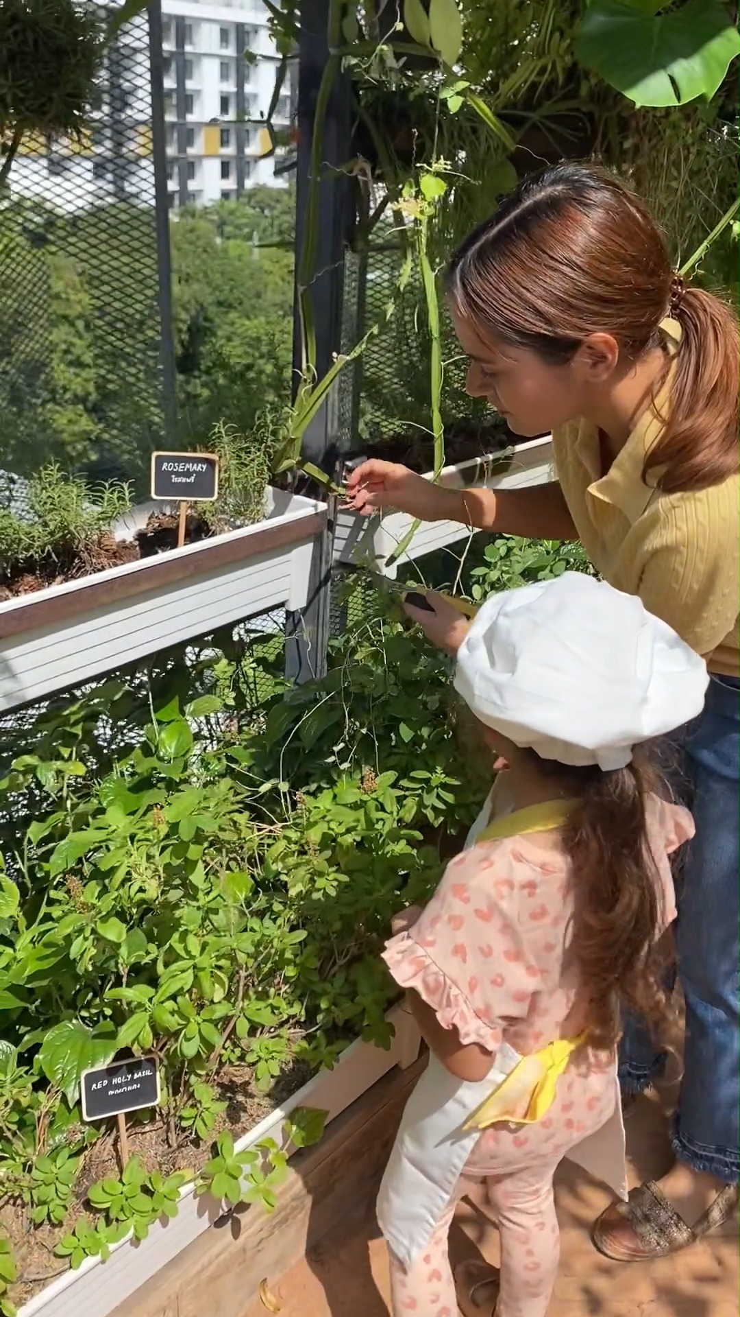 🌽✂️ What an adventure! 🍏🔬🍂 Tune into our October Camp recap to see how cooking, creativity, and science came alive during two weeks of Autumn fun. Messy Pea campers (3 - 5 yrs) made everything from crafts that boost literacy skills to tasty apple turnovers. Meanwhile, Big Pea campers (6 – 9 yrs) explored concepts like animal camouflage and seasonal ingredients. Check out the fun. 🥕
⭐ Good News! If you missed the Fall session, then save the dates: Winter Camp 2025/2026 happens 15 Dec – 9 Jan! ❄️
💥 Book your next camp via Link in Bio or Line @littlepeabkk
____________
🌽✂️ การผจญภัยแสนสนุก! 🍏🔬🍂 มาย้อนดูโมเมนต์สุดเพลินจาก October Camp กัน 💛 สองสัปดาห์เต็มของความสนุกในฤดูใบไม้ร่วงที่ทั้งอร่อยและสร้างสรรค์ 🥕
⭐ ข่าวดี! ถ้าใครพลาดความสนุกเดือนตุลาคม สามารถเจอกันใหม่ที่ Winter Camp 2025/2026 วันที่ 15 ธ.ค. – 9 ม.ค. ❄️
💥 จองแคมป์ถัดไปได้เลยผ่าน Link in Bio หรือ Line @littlepeabkk
____________
#LittlePeabkk #LittlePea #theCOMMONSbkk #LittlePeaOctoberCamp