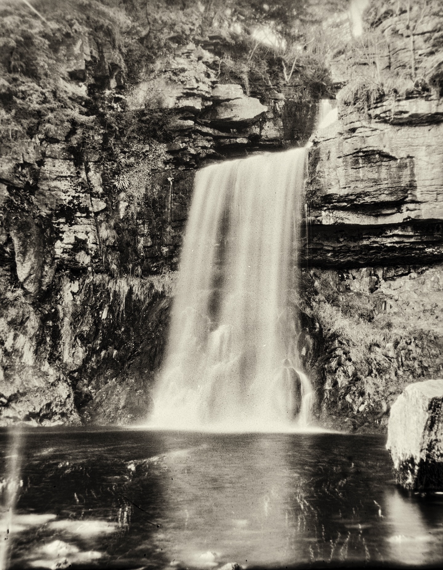#ingletonwaterfalls trail - images made with 1920s #largeformat Plate camera onto #xrayfilm