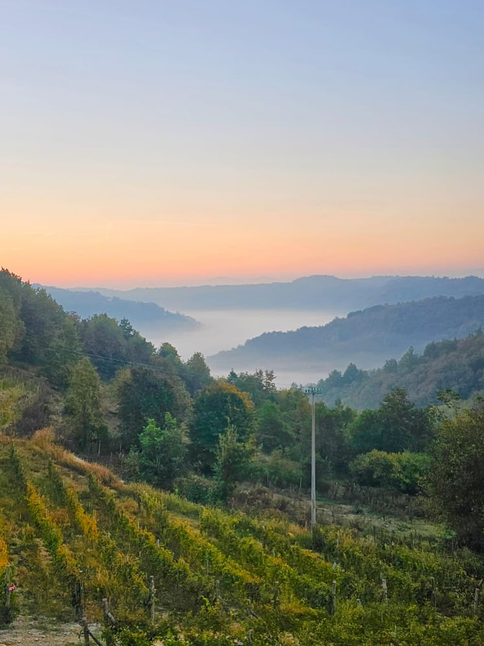 Risvegliarsi con questa vista è un’esperienza che incanta ogni volta. Le colline delle Langhe si risvegliano tra la nebbia, illuminate dai primi raggi di sole, mentre i vigneti si stendono dolcemente sotto la finestra della vostra camera.
A Podere Martina, ogni mattina regala il fascino autentico della campagna piemontese, dove tranquillità, natura e vino si fondono in un’unica, indimenticabile emozione. 🍷🌿✨
📍Podere Martina | Langhe, Italia
⸻
Waking up to this view is pure enchantment. The rolling hills of the Langhe awaken in the morning mist, kissed by the first rays of sunlight, while the vineyards stretch gently beneath your window.
At Podere Martina, every morning brings the true essence of the Piedmont countryside — a perfect blend of tranquility, nature, and fine wine. 🍷🌿✨
📍Podere Martina | Langhe, Italy