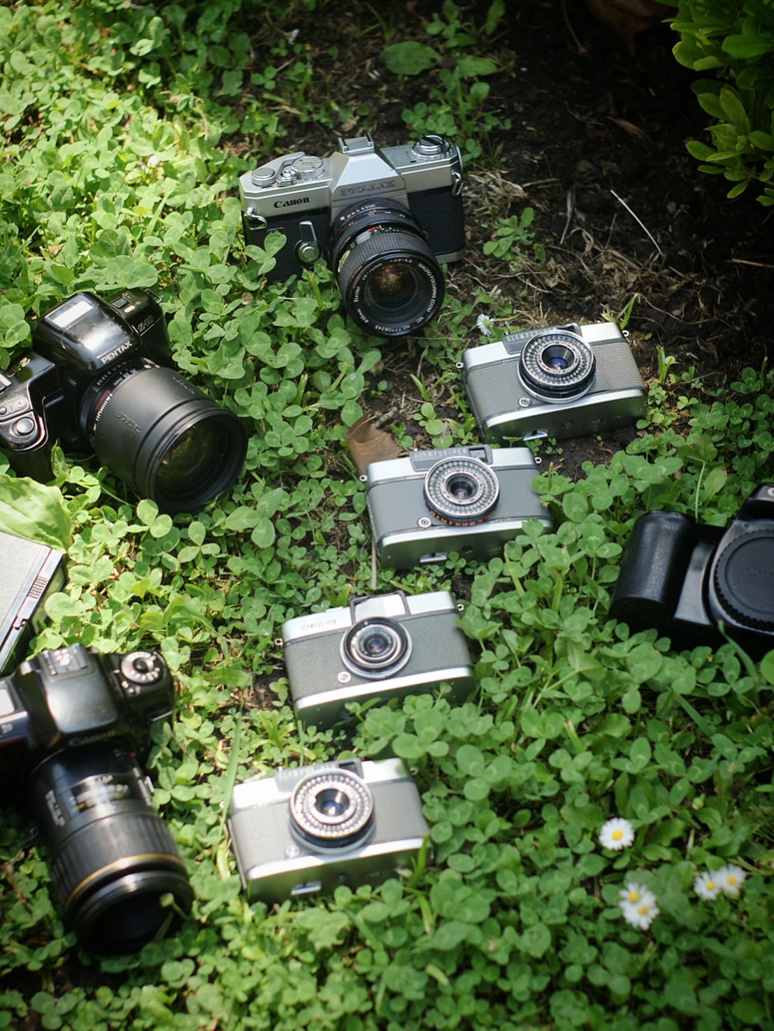 Mitad de cuadro, doble de encanto 🌿
Acaban de llegar nuevas cámaras half frame y manuales una colección que mezcla historia, textura y alma.
📷 Olympus, Canon y Pentax, cada una con su magia: diseño atemporal, precisión mecánica y ese sonido inconfundible del obturador que te conecta con el momento.
Ahora disponibles en hanimastudio.cl 🎞️