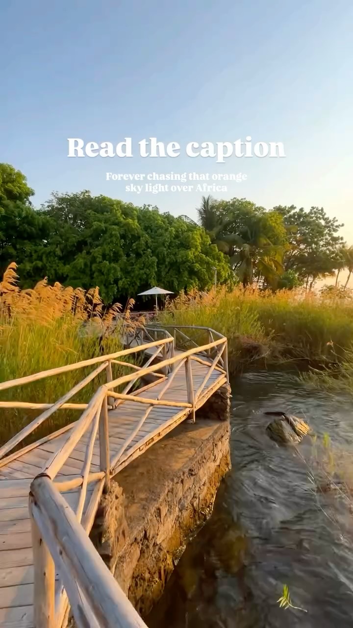 Moments that remind me: happiness lives in golden light, simple laughs, and slow sunsets in Africa’s heart. 🌅
Last week in Malawi was one of those rare moments — sitting with kids I’d never met before, watching the sky melt into orange and gold. They proudly showed us their schoolbooks while we shared the silence and the smiles of the sunset.
Total strangers, yet it felt like family — a reminder that kindness and connection need no words. ❤️
Zikomo kwambiri Malawi🇲🇼
You also wanna explore Africa? 🌍
Check out my website and subscribe to the newsletter — maybe you’ll join one of the next adventures, or I’ll create a journey just for you.🧡
#adventure #africa #africansunset #beautifuldestinations #goldenhour #kindness #lakemalawi #malawi #malawimagic #momentslikethese #nature #photography #safari #silenceandsmiles #sunset #travelafrica #travelgram #wanderlust #warmheartofafrica #wildlife