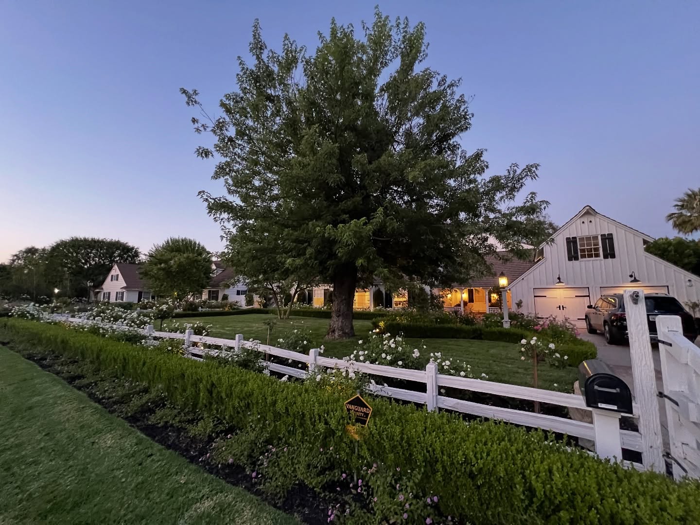 This beauty was in need of love…
Look at her now! #anywhereamerica #projectorionog #vannuys #estate
#afterandbefore #beforeandafter #staugustinelawn #rosegarden #boxwood #updatedclassic #landscape #cali #virgodesignsandlandscaping