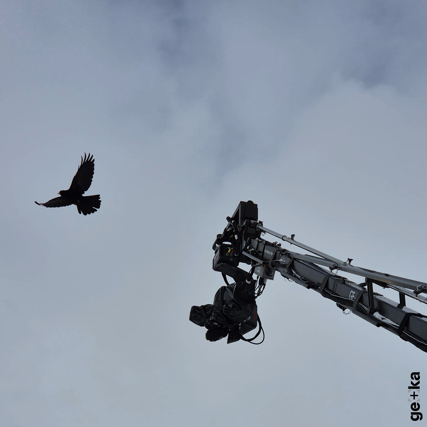 Skiweltcup in Sölden, Schnee & starke Bilder 🎿
Mit unseren Kransystemen am Start – ein erfolgreicher Auftakt in die Wintersaison! ❄️
#gekafilm #behindthescenes #skiweltcup #sölden #gripfactorymunich #orf #tvproduktion