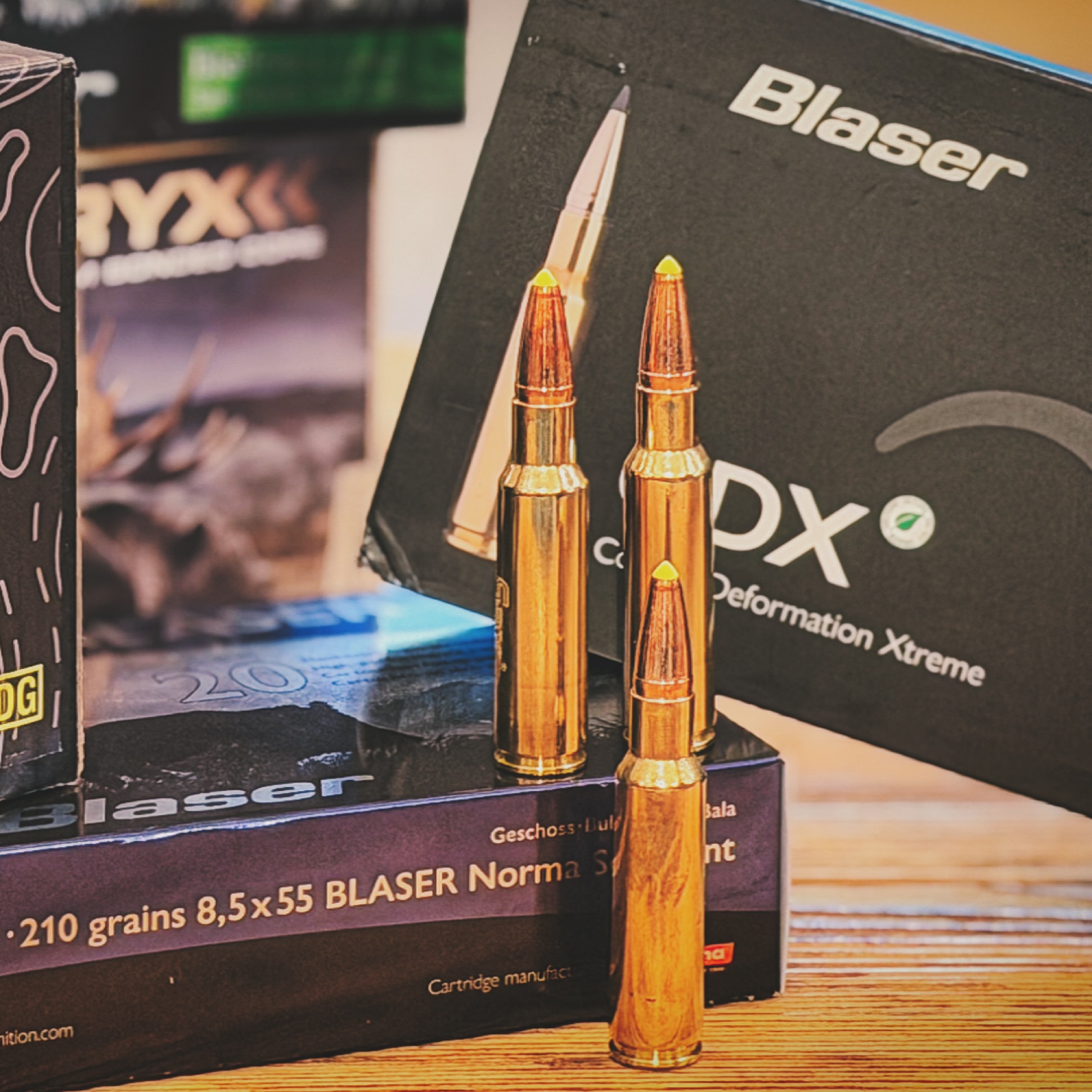 🇦🇹 8,5×55 Blaser – die kompakte Magnum fürs echte Jägerleben.
Nebelmorgen, kalter Atem, kurzer Lauf — zack, sitzt der Schuss. Führig am Berg, stark im Tal, kein unnötiger Ballast.
Nicht nur ein Kaliber, sondern ein Mindset. Mehr dazu: schussundstille.com — komplette Story online.
🇬🇧 8.5×55 Blaser – the compact magnum for real hunters. Fog in the woods, breath in the cold, short barrel — boom, clean hit. Light to carry, heavy on effect. Not just a cartridge — it’s a mindset.
Read the full story at schussundstille.com.
#85x55blaser #blaserr8 #jagdmoment #bergjagd #drückjagd #pirschzeit #jägerleben #huntingvibes #mountainhunting #shortandstrong #realhunters #madeforthefield #revierliebe #alpenjagd #huntingmindset