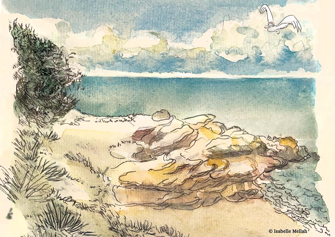 Quand la roche prend l’eau, moi je prends le pinceau ! 🎨
Aquarelle inspirée de la beauté minérale et marine de Conguel, sur la presqu’île de Quiberon.
#Aquarelle #Quiberon #Bretagne #Conguel #Artiste #Peinture #VoyageEnCouleur #CoinDeParadis #InspirationNature #CroquisDeVoyage