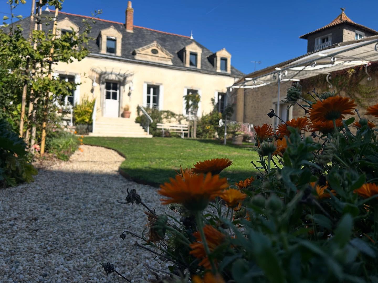 Bonjour à tous,
Le restaurant L’Ornithorynq ouvre ses portes ce mardi 28 octobre,dans la commune de Vezins à 8 minutes de cholet ( si régulateur à 150 )
Nous serons ravis de vous accueillir les midis du mardi au vendredi.
Le vendredi soir, samedi soir et le dimanche midi
Pour toutes informations vous pouvez nous téléphoner au 02 72 62 61 96 à partir de demain 8h
Bonne soirée !