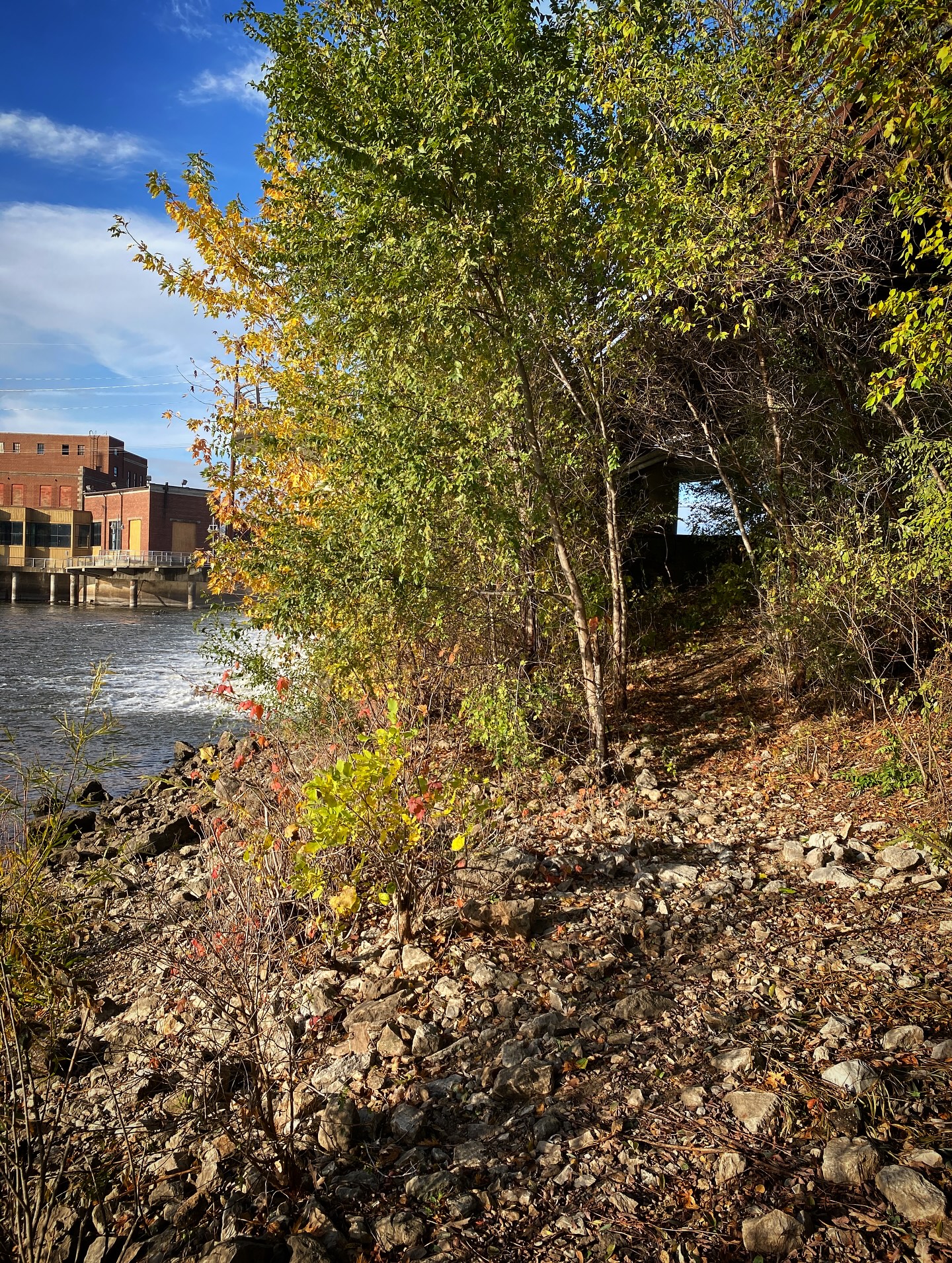 Urban Adventure Ride is tonight and we’re doing a full tour of the Iowa River Trails (IYKYK). After a night of rain, hero dirt is officially on the menu and you don’t want to miss this one! See you all at waterworks park at 6:15. Bring your mountain bike or fat bike and a rowdy attitude 😝🤘
.
.
.
.
.
#sugarbottombikes #sugarbottom #northliberty #northlibertyiowa #coralville #coralvilleiowa #cedarrapids #cedarrapidsiowa #iowacity #iowacityiowa #solon #soloniowa #iowabike #iowacycling #bikeiowa #bikeiowacity #onlyiniowa