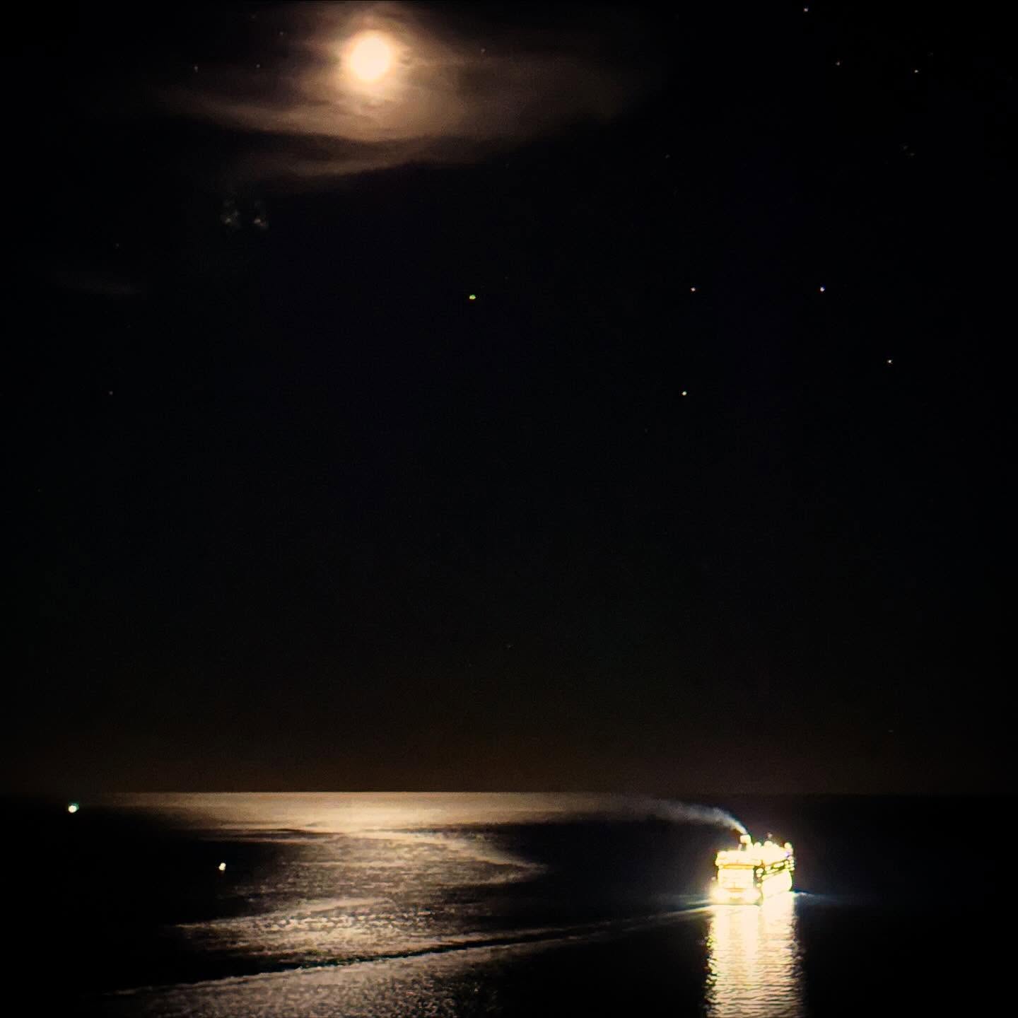 Lokrum
Ile paisible en cette saison avec ses paons, son trône de fer, ses palmiers et son fort royal
#lokrum #dubrovnik🇭🇷 #lostindubrovnik @dubrovnikoldtown @lokrum_dubrovnik_official #island #croatie