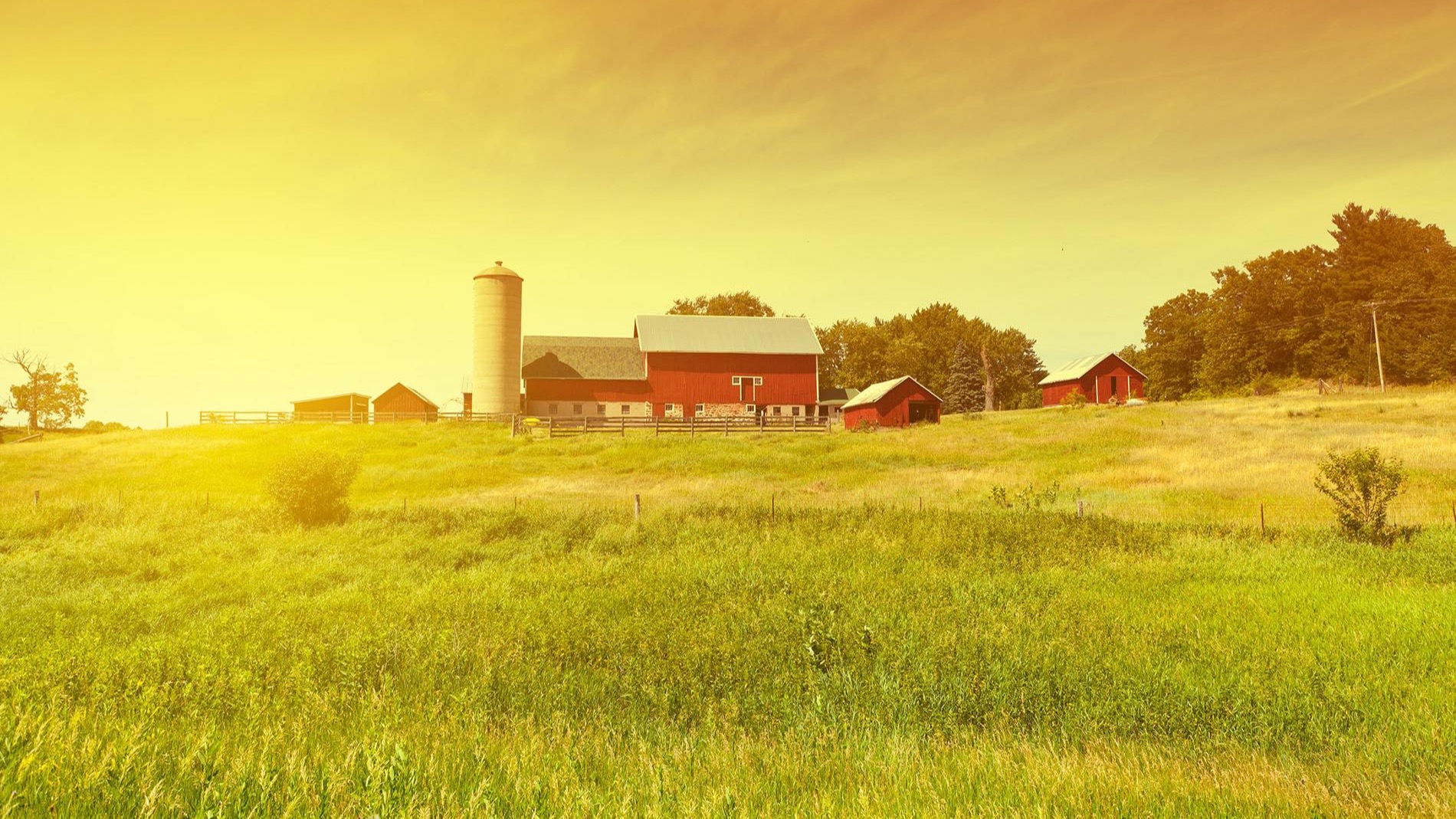 The population of man is growing rapidly and the possibility to feed all we follow a route of destroying habitats for other living beings. There is another path though, a conscious path of expanding our possibilities and at the same time give back space to other beings. Technology brings possibilities to expand agriculture both vertical and more sustainable.