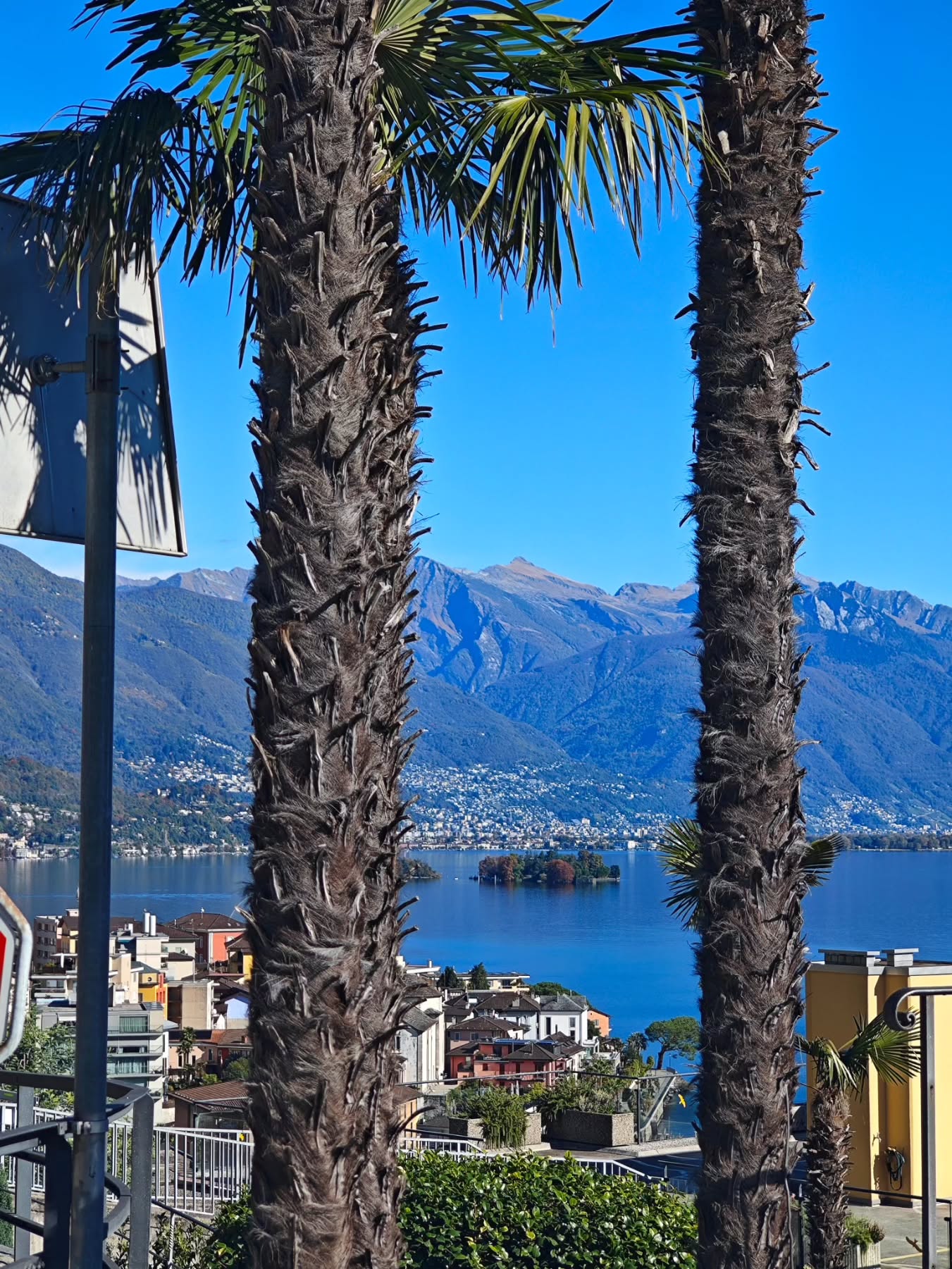 Dreamy views over Lake Maggiore — the Brissago Islands shining like emeralds on the water, seen from the peaceful hills above Brissago. A little slice of paradise between mountains and lake.
Traumhafte Aussicht über den Lago Maggiore – die Brissago-Inseln glitzern wie Smaragde im Wasser, gesehen von den ruhigen Hügeln oberhalb von Brissago. Ein kleines Paradies zwischen Bergen und See.
Veduta da sogno sul Lago Maggiore — le Isole di Brissago brillano come smeraldi sull’acqua, viste dalle tranquille colline sopra Brissago. Un piccolo paradiso tra monti e lago.
#brissago #brissagoislands #visitbrissago
#visitticino #ticino #ticinoturismo #switzerland #switzerland🇨🇭 #travel #swiss #swissriviera #brissago4u #lake #boat
#fineartphotography
#swissalps #swissculture #loves_united_switzerland #switzerlandwonderland #got_greatshots #planet_earth_shots #suissebook #discoverthealps #discoverswitzerland
#mybrissago
@mybrissago
@lidobrissago
@tcbrissago
@bahiabrissagosnackbar
@cantina.giromit
#cantina.giromit
@aziendavitivinicolachiappini
#aziendavitivinicolachiappini