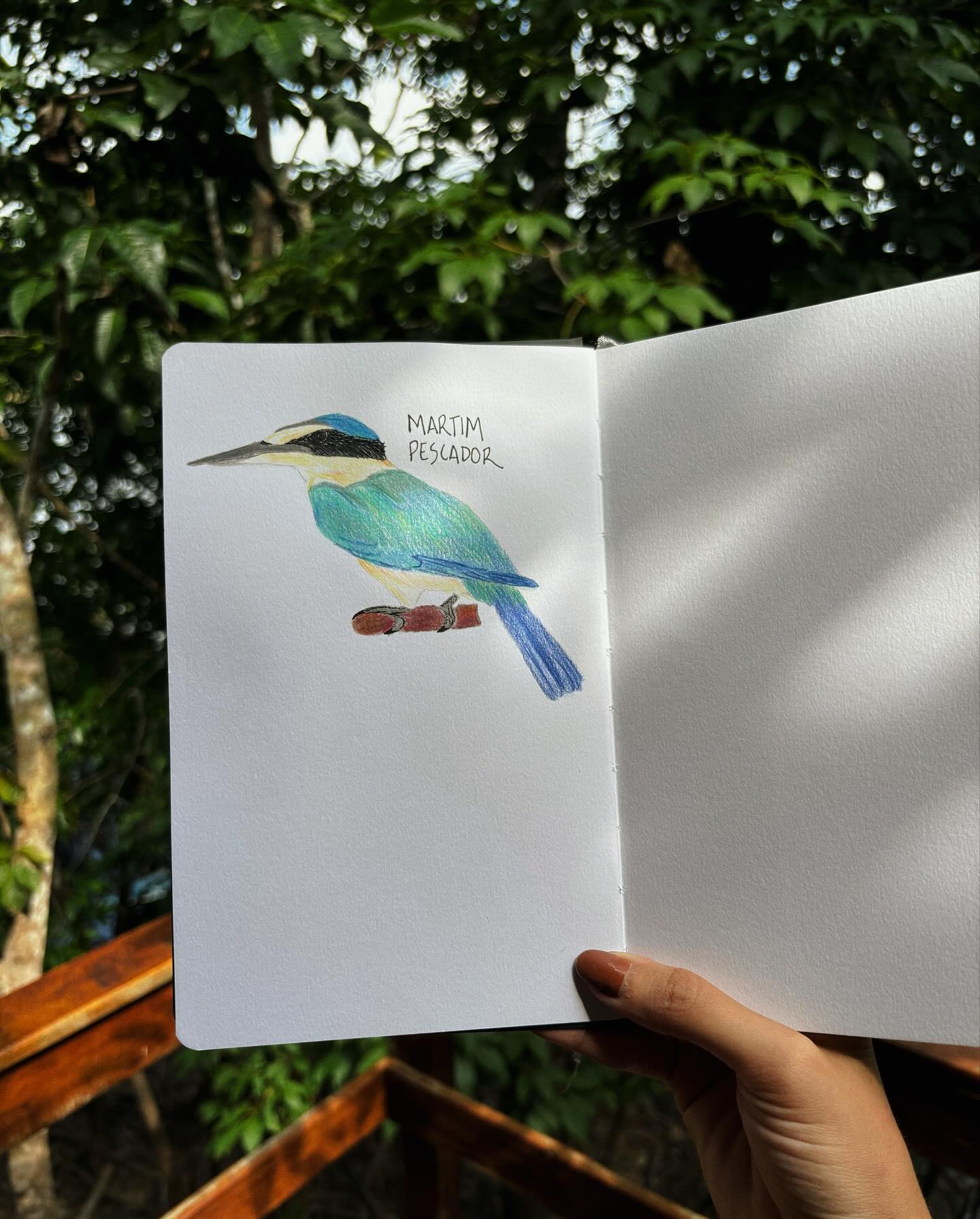 Os sons e as cores e os respiros entre um desenho e outro. A floresta é mesmo encantada. 🤍✨🌳 Espero nunca mais deixar de levar o sketchbook na mala de viagem.