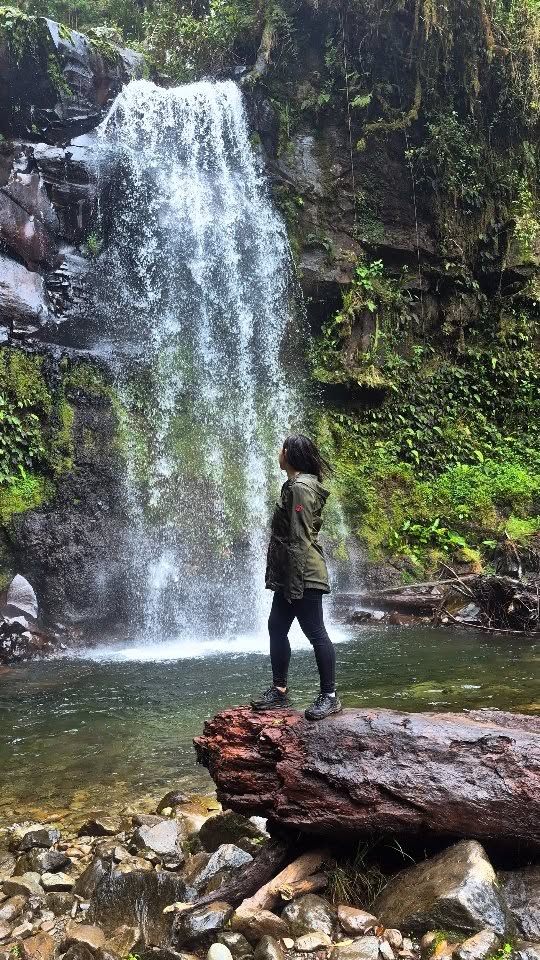 A solo adventure to find the lost waterfalls —
a rhythm only nature could compose.