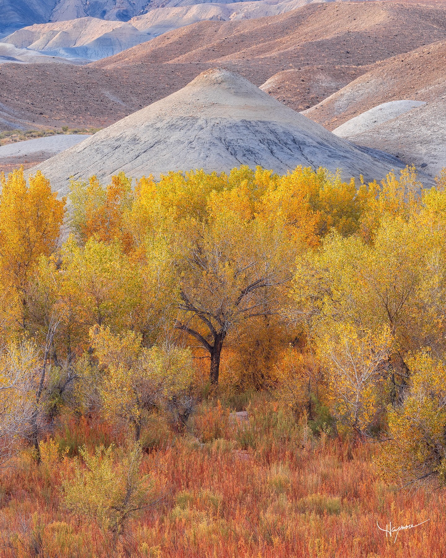 There’s something special about Autumn foliage with a desert backdrop. Normally you wouldn’t think the trees in dry climates would be so vibrant, but Utah’s high desert is a special place for just the right conditions.
Later this week, I’ll be guiding a private photo adventure to these areas. If you’re in need of a fully outfitted 4x4 and expedition trailer with all the conveniences, gourmet outdoor cooking, and bespoke experiences, message me and let’s put something together.