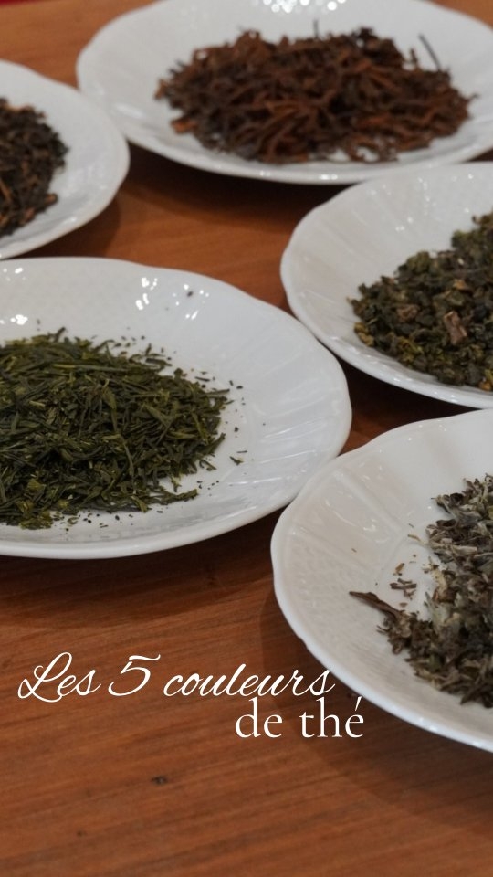 🌈🍃 Vous saviez qu’il existe plusieurs “couleurs” de thé ? 👀
Chaque nuance révèle un terroir, un savoir-faire et des bienfaits uniques 🌍💫
🤍 Thé blanc : Originaire du Fujian (Chine), c’est le plus pur et le moins transformé. Fin, floral et lumineux, il hydrate, apaise et renforce les défenses naturelles 🌼
🍃 Thé vert : Né de Chine et du Japon, il est simplement chauffé pour bloquer l’oxydation. Riche en antioxydants, il stimule l’énergie et purifie l’organisme 🌿
💛 Thé wulong (ou oolong) : Cultivé à Taïwan et en Chine, semi-oxydé, il dévoile des notes florales et miellées. Il aide à la digestion et favorise la détente 🌸
🖤 Thé noir : Issu d’Inde, du Sri Lanka et de Chine, c’est le plus oxydé. Puissant et tannique, il réveille, soutient la concentration et accompagne les matins exigeants ☕️
🪶 Thé pu erh : Trésor du Yunnan (Chine), il subit une fermentation lente qui lui confère des notes de terre humide et sous-bois. Idéal pour détoxifier et aider à la digestion 🌿
Alors, quelle couleur infuserez-vous aujourd’hui ? 💫
#betjemanandbarton #betjemanbartontours #teacolors #theblanc #thevert #thewulong #thenoir #thepuerh #tourscity #momentdethe #bienfaitsduthe #teatime #teaculture #tealovers #teainspiration #artduthe